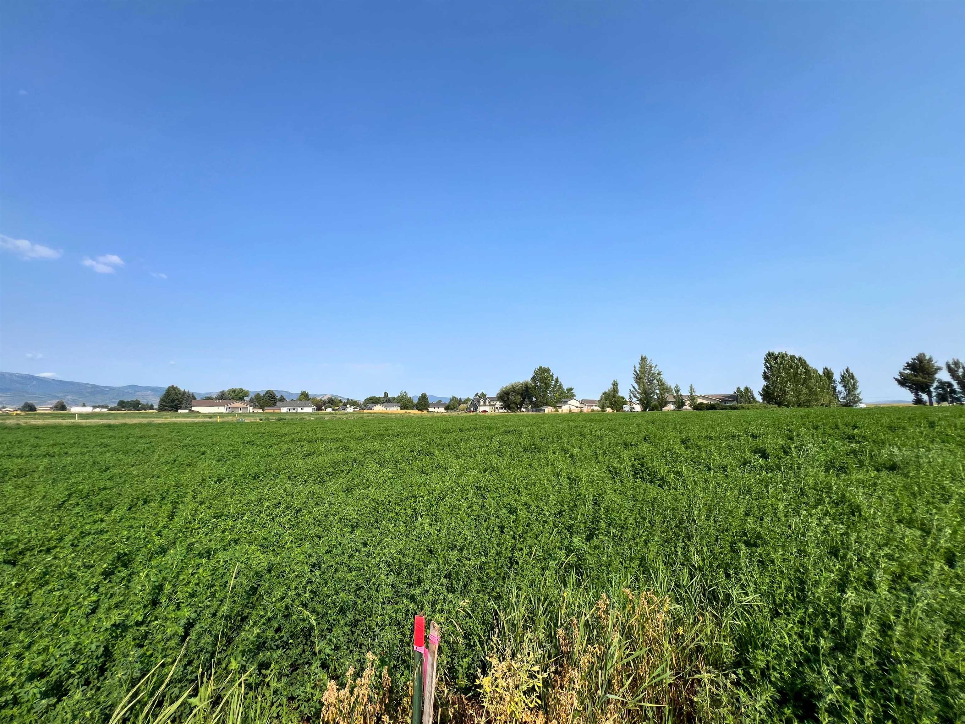 TBD Diane Drive #LOT 16, Grace, Idaho image 8