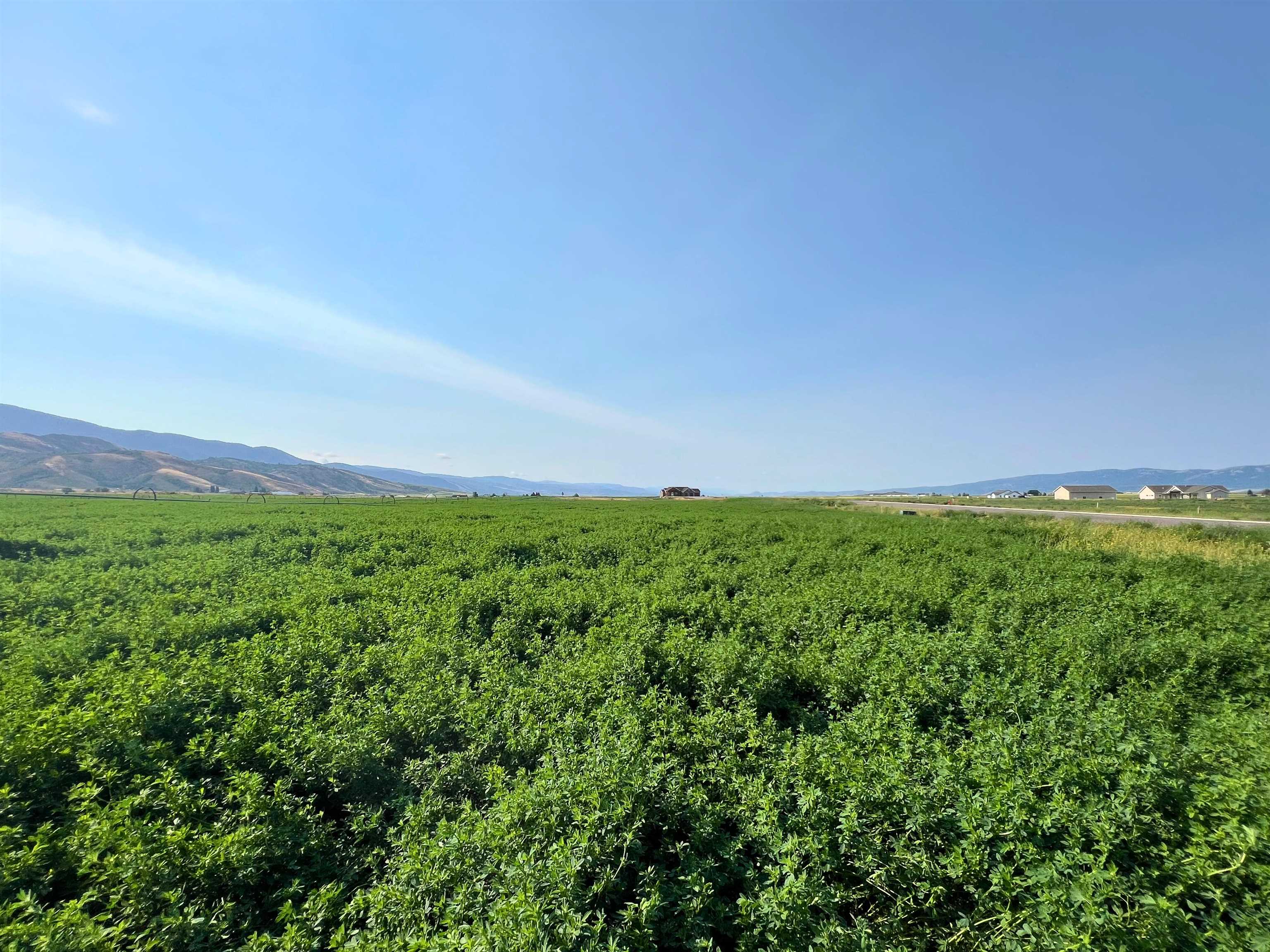 TBD Diane Drive #LOT 16, Grace, Idaho image 4