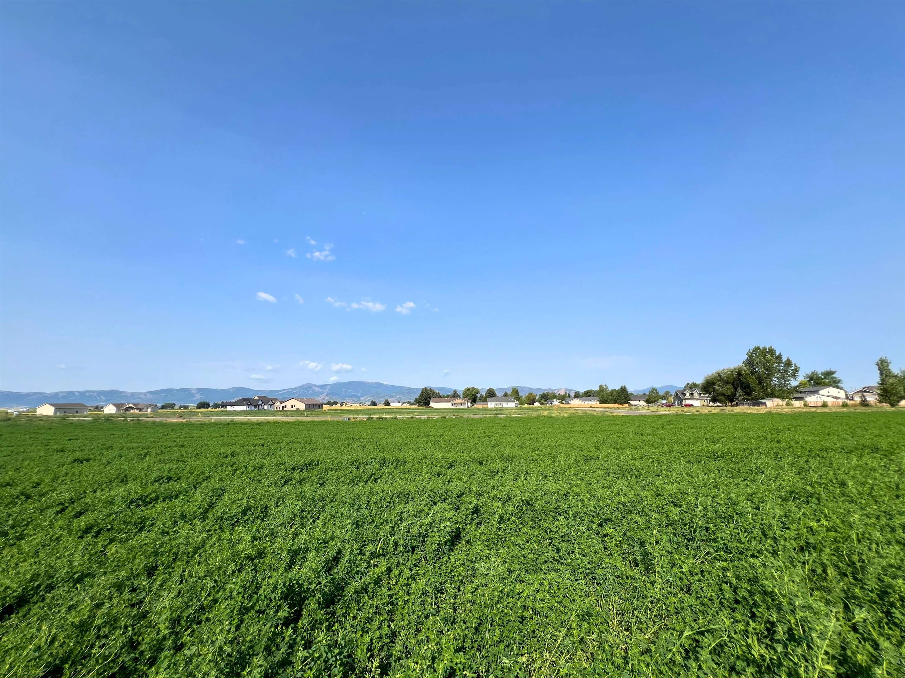 TBD Diane Drive #LOT 16, Grace, Idaho image 7