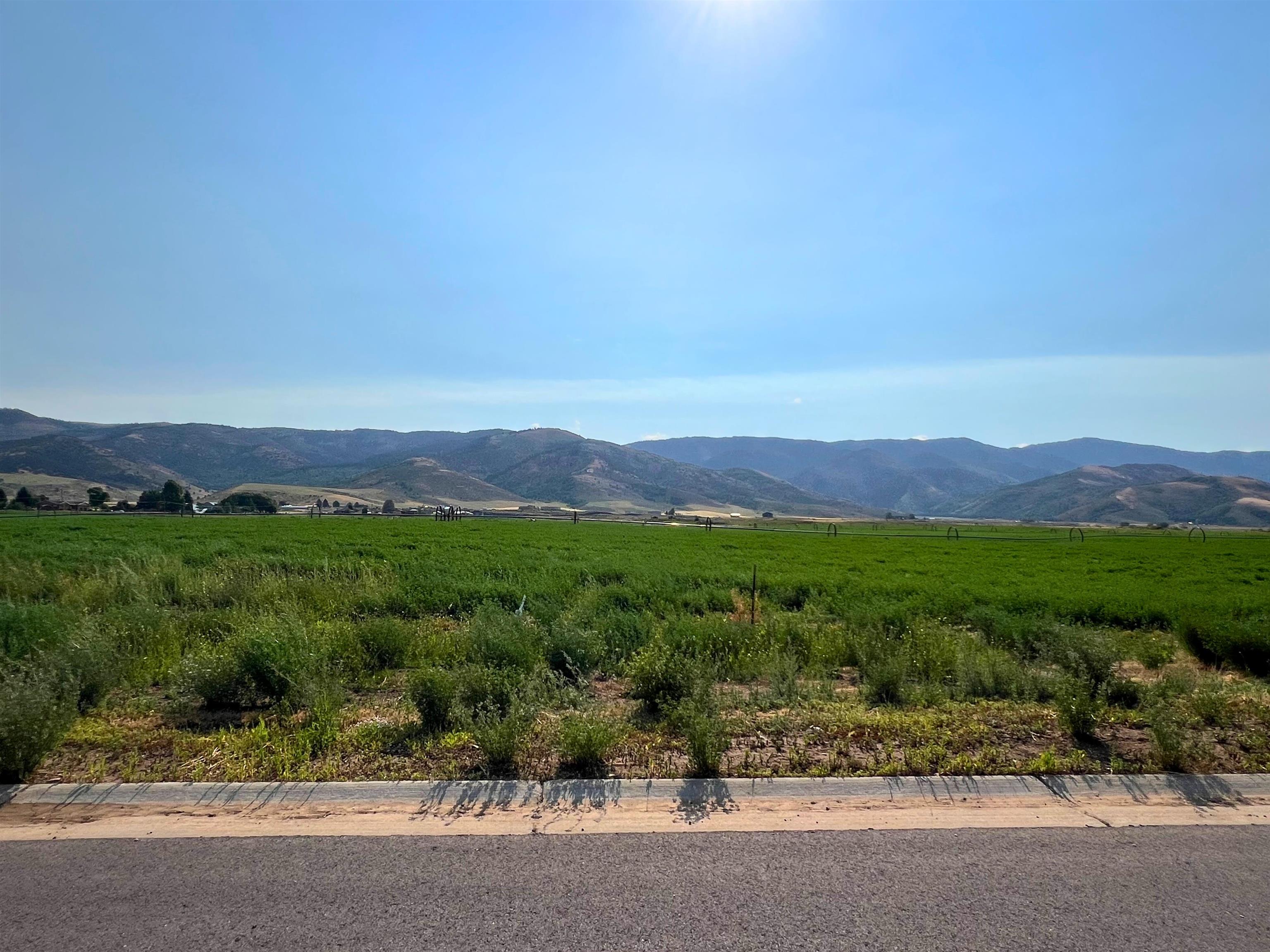 TBD Diane Drive #LOT 16, Grace, Idaho image 1