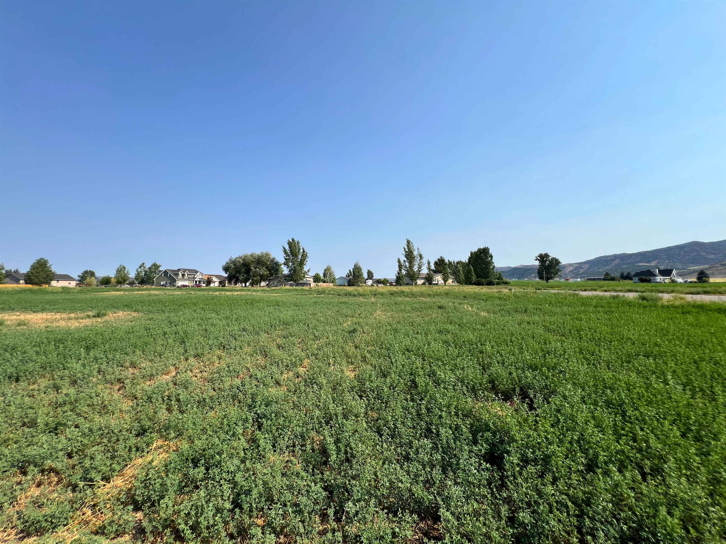 TBD Diane Dr #LOT 37, Grace, Idaho image 8