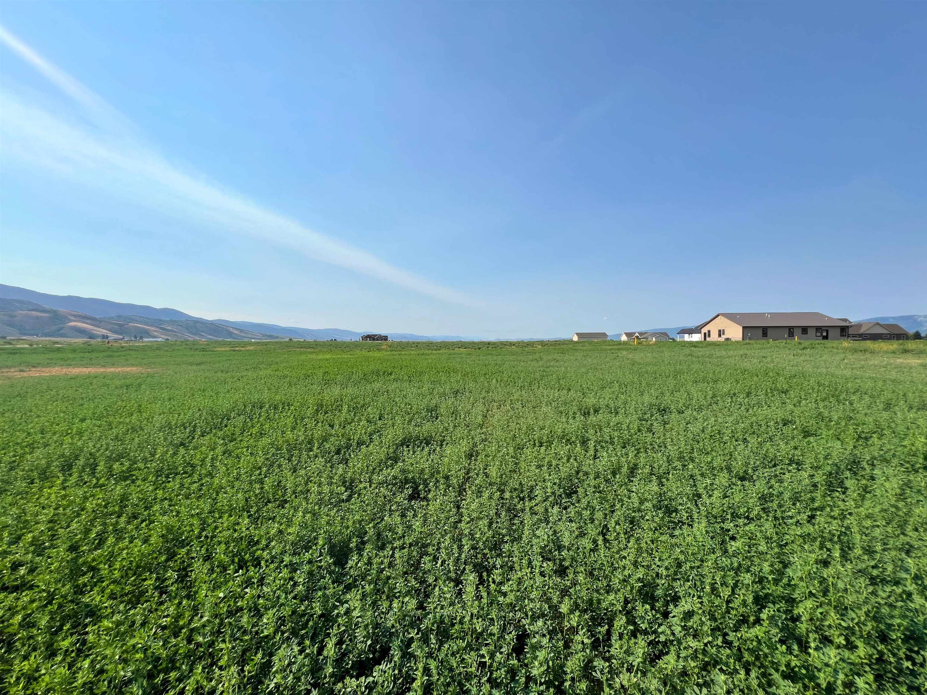 TBD Diane Dr #LOT 37, Grace, Idaho image 6