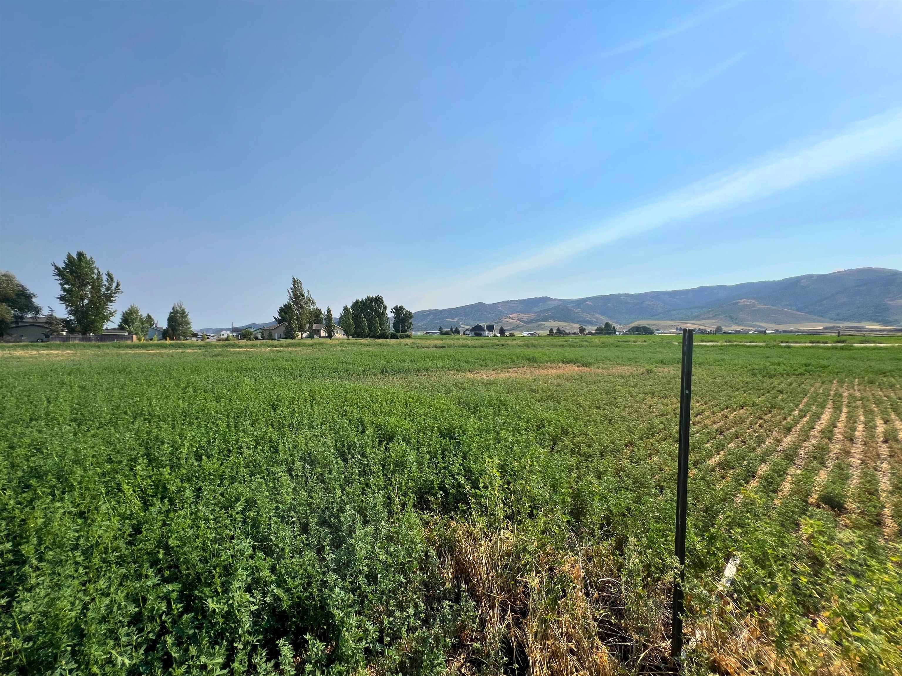 TBD Diane Dr #LOT 37, Grace, Idaho image 9