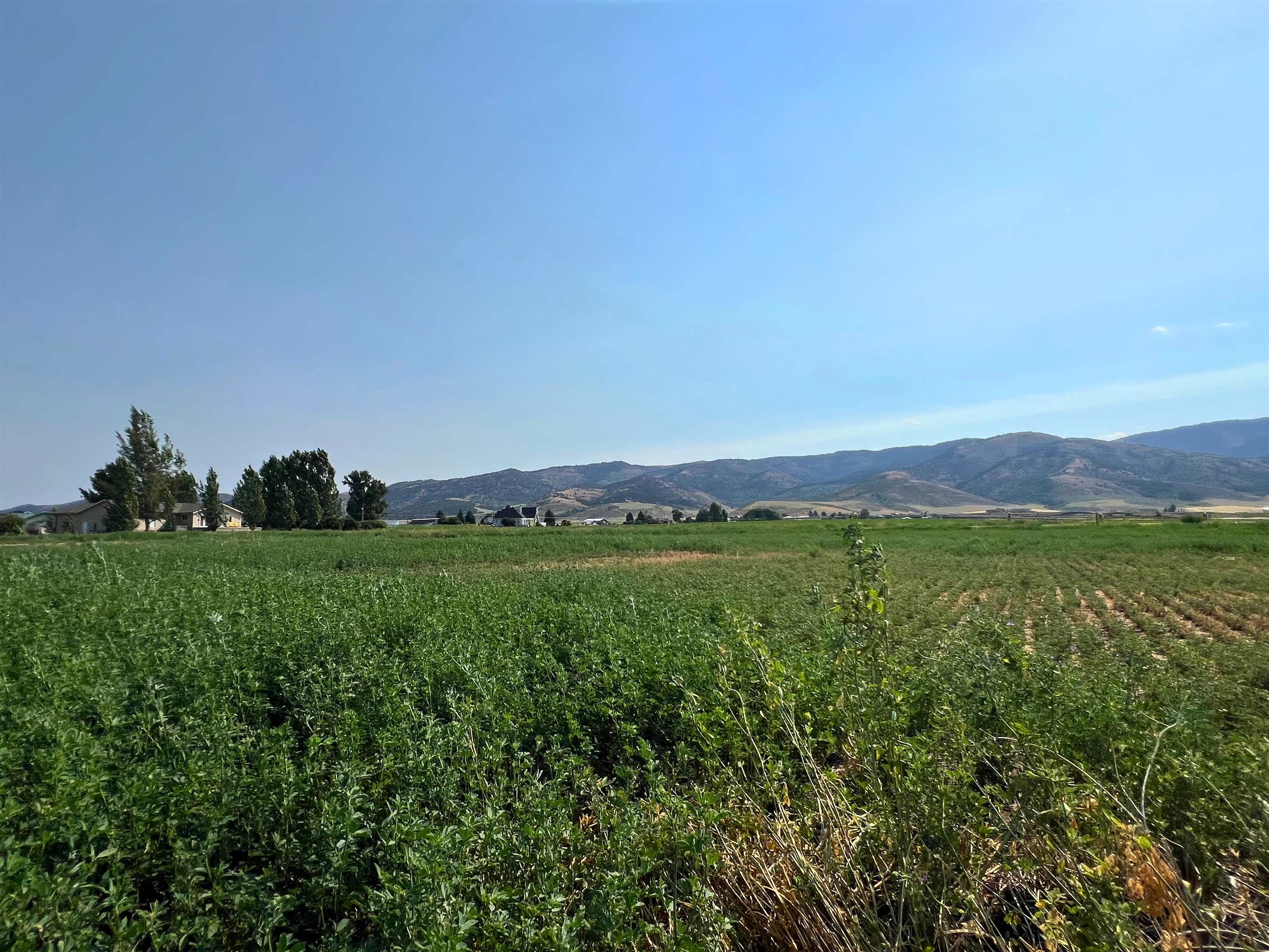 TBD Diane Dr #LOT 37, Grace, Idaho image 10