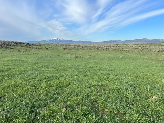 Lot A Jensen Rd, McCammon, Idaho image 3