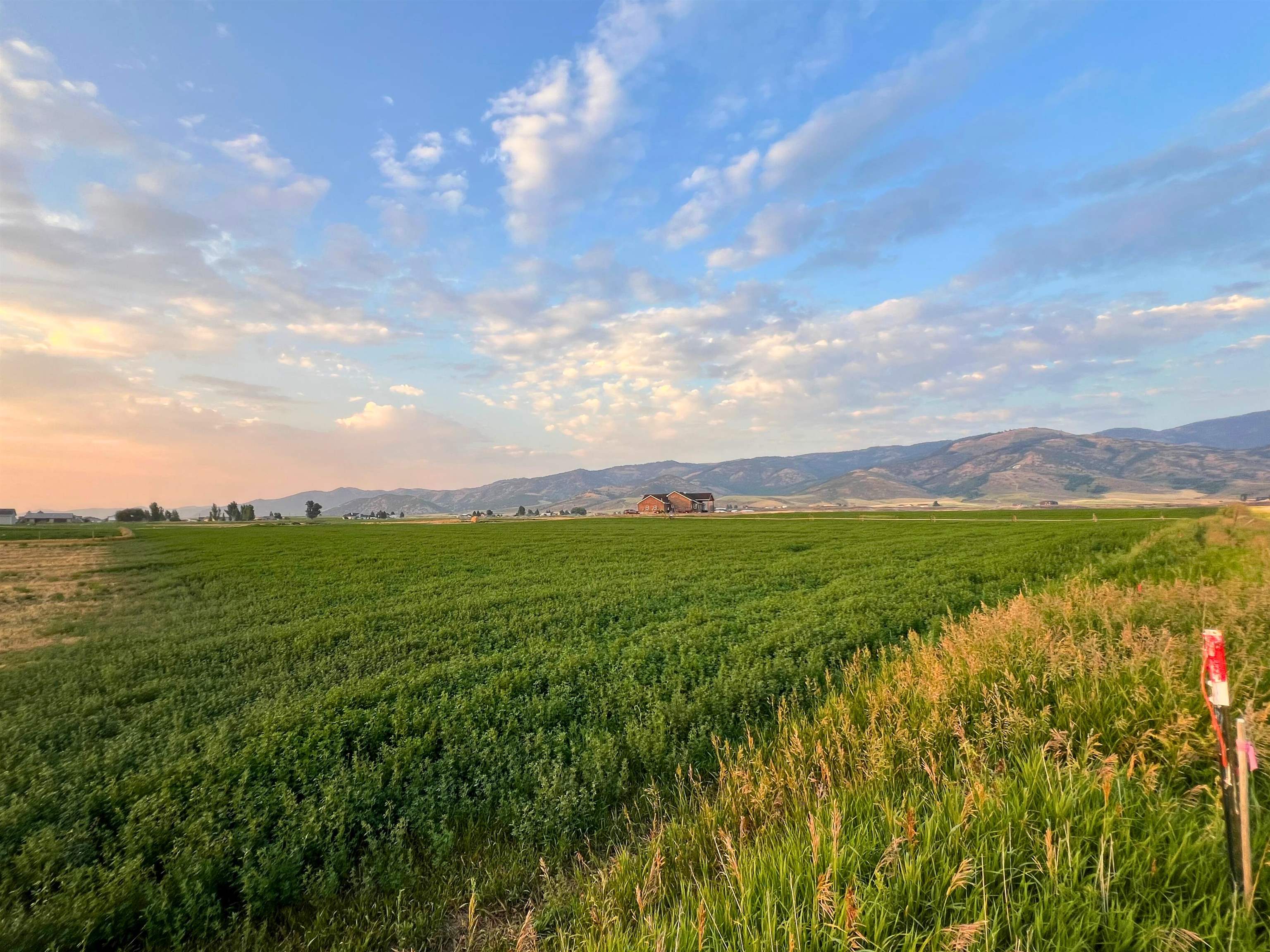 TBD Highline View Rd #LOT 8, Grace, Idaho image 3