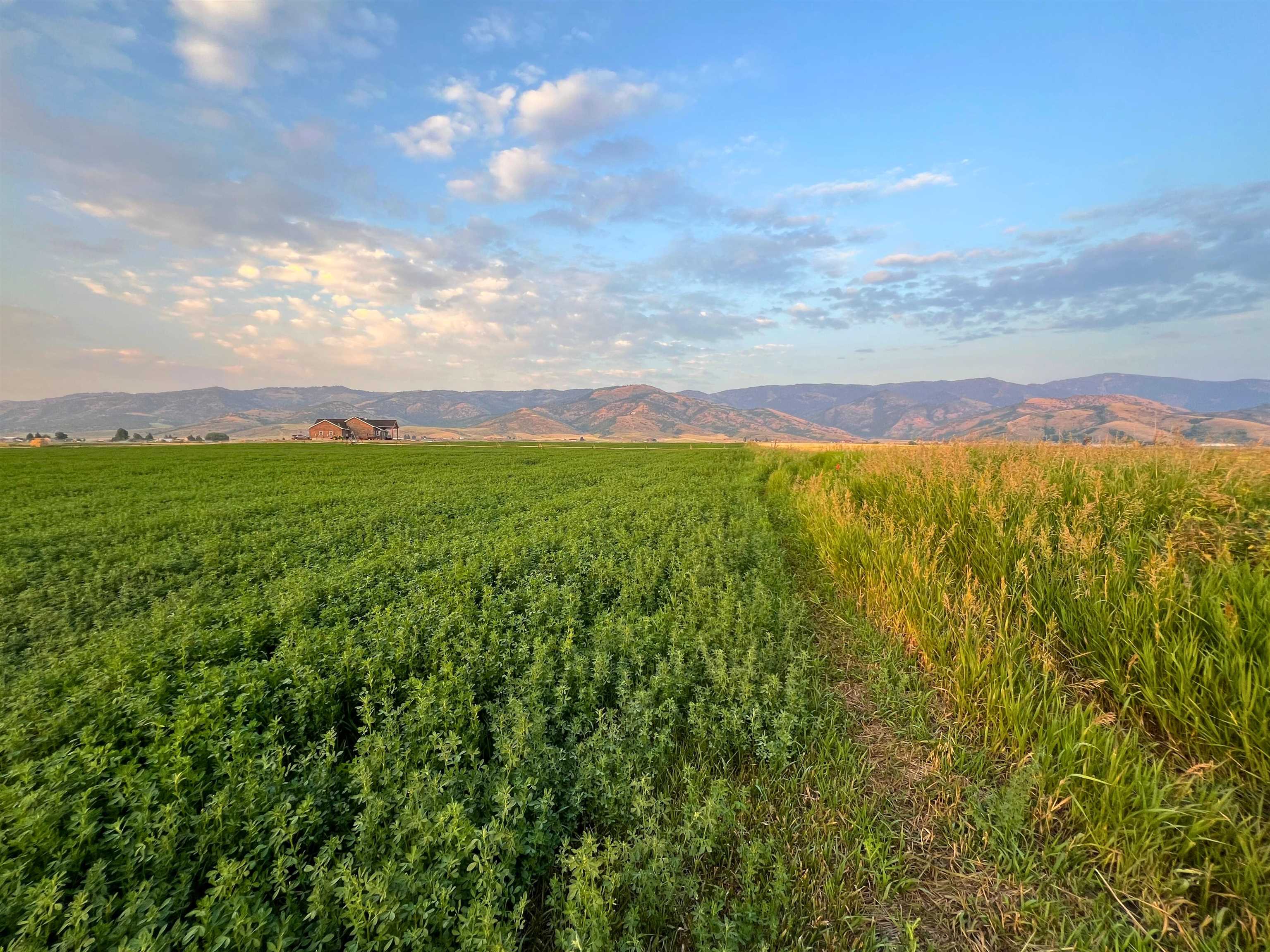 TBD Highline View Rd #LOT 8, Grace, Idaho image 4