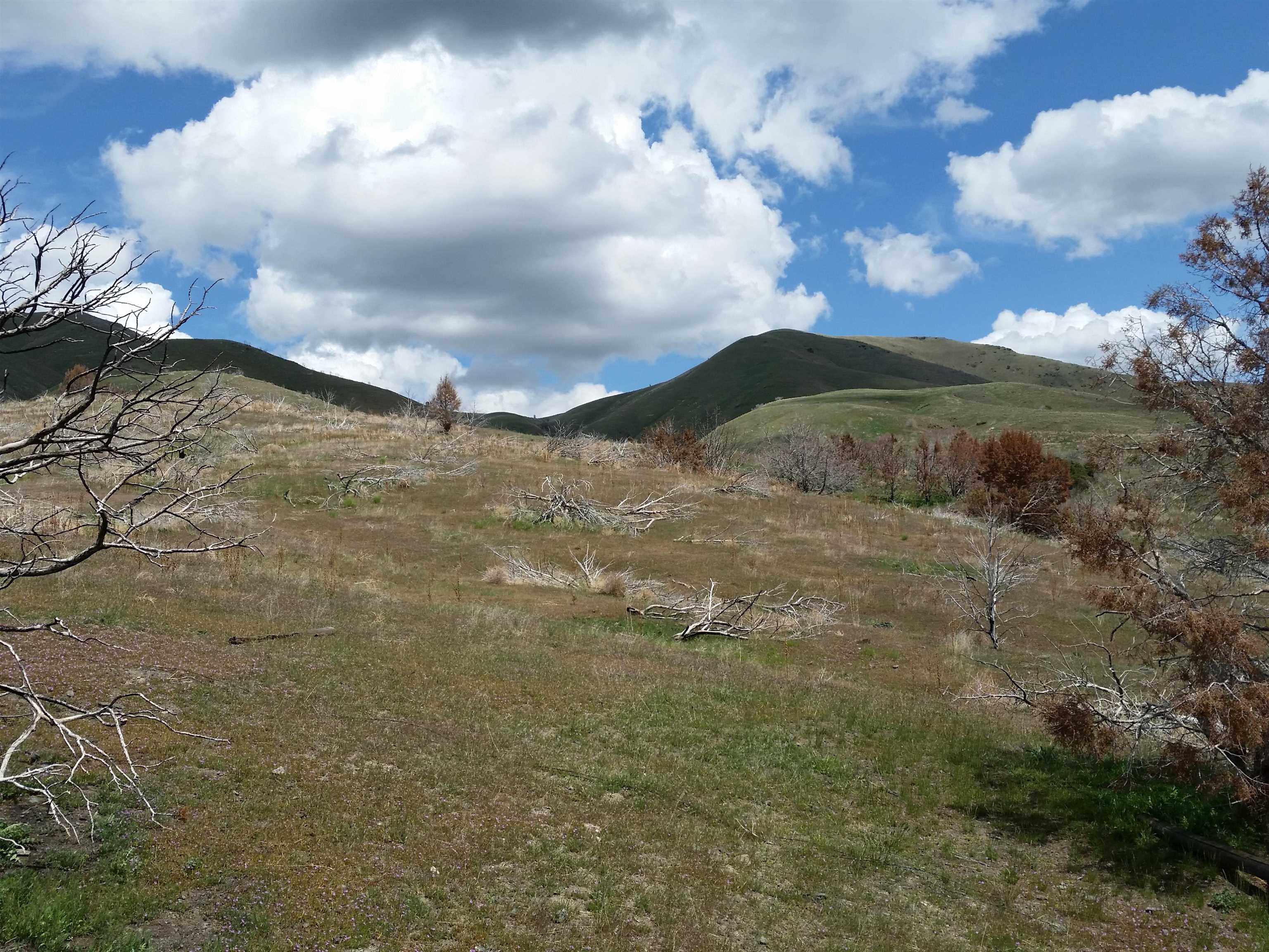 231 ACRES S 5th Ave, Pocatello, Idaho image 4