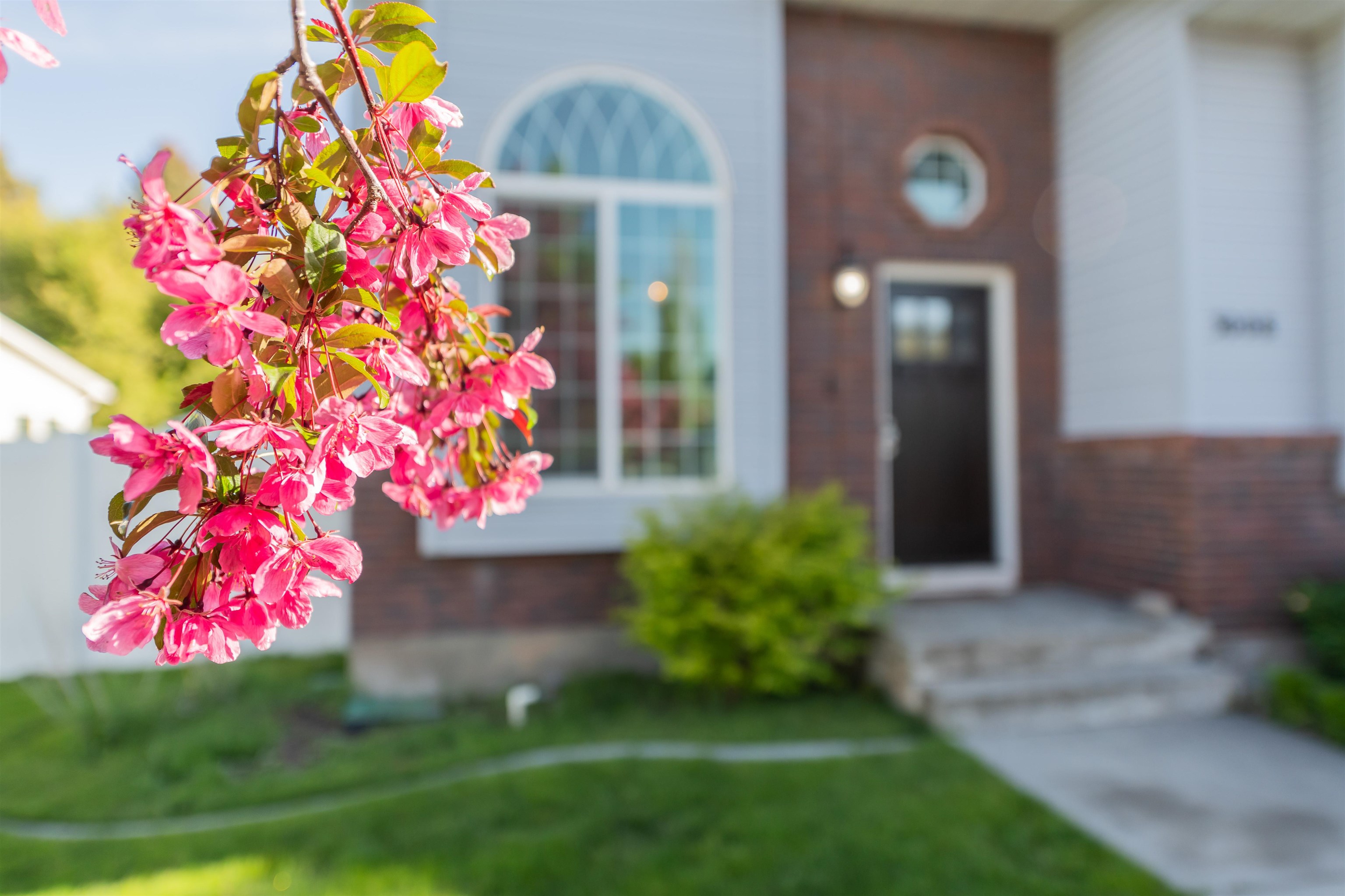 3008 Kelly Dr, Idaho Falls, Idaho image 47