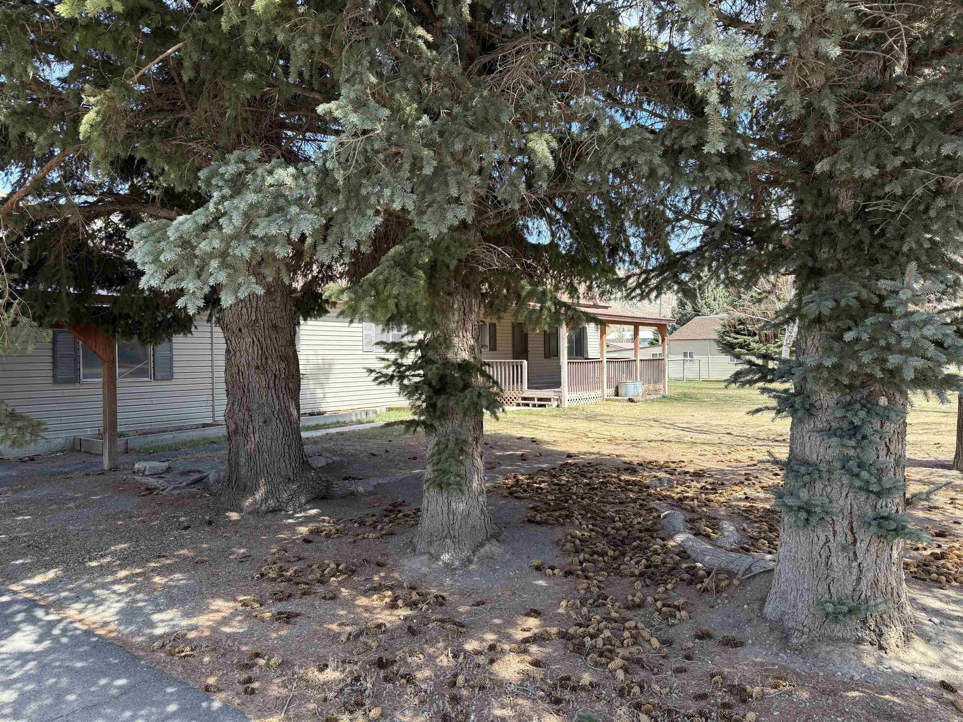 3060 W 2500 N, Arco, Idaho image 29
