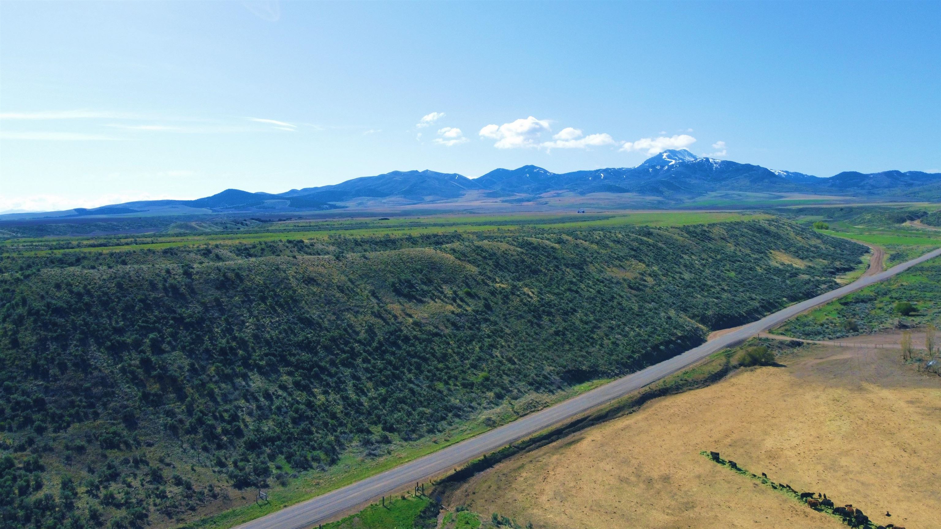 TBD Cherry Creek, Downey, Idaho image 12