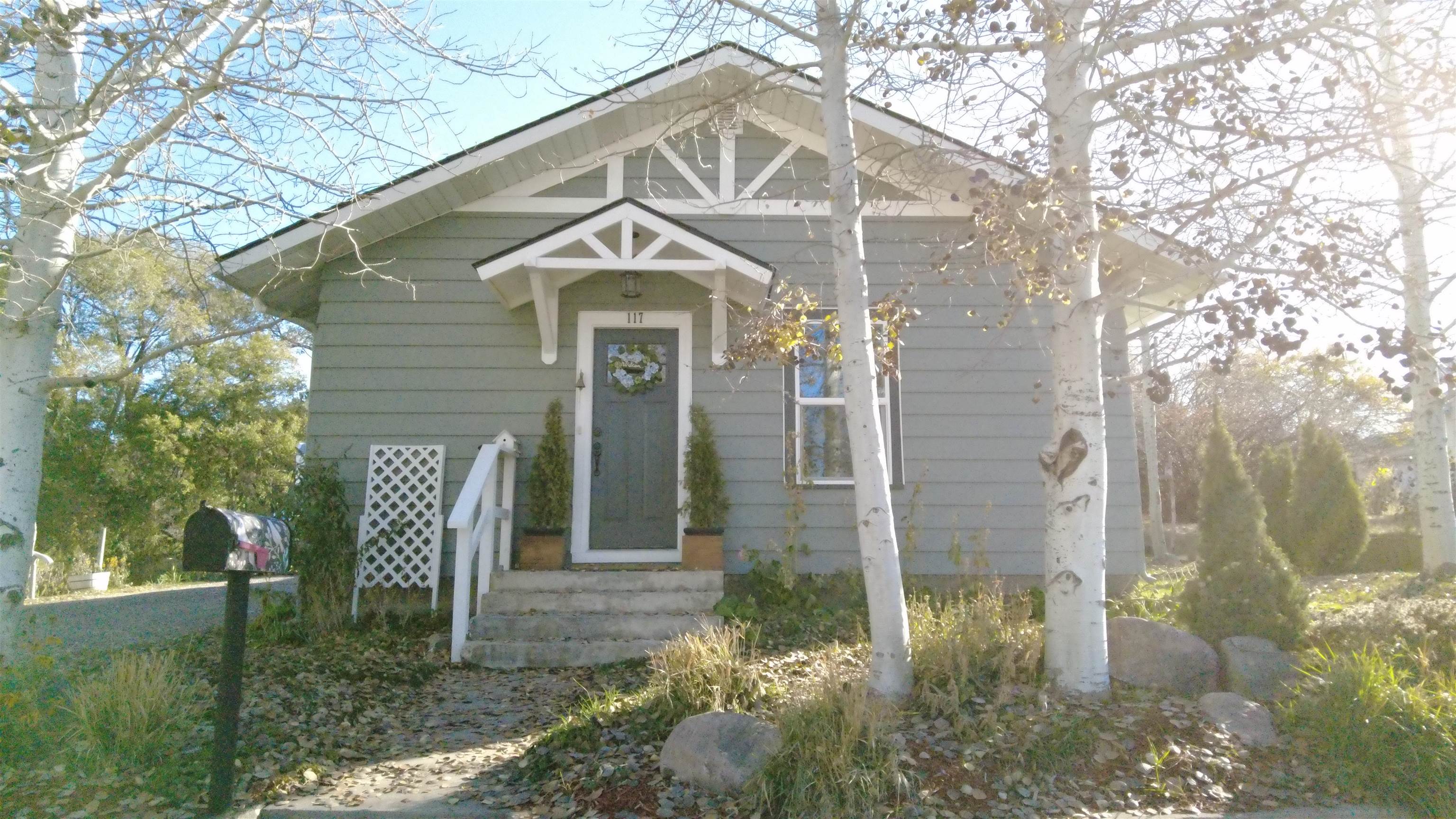 117 Grant St, American Falls, Idaho image 1