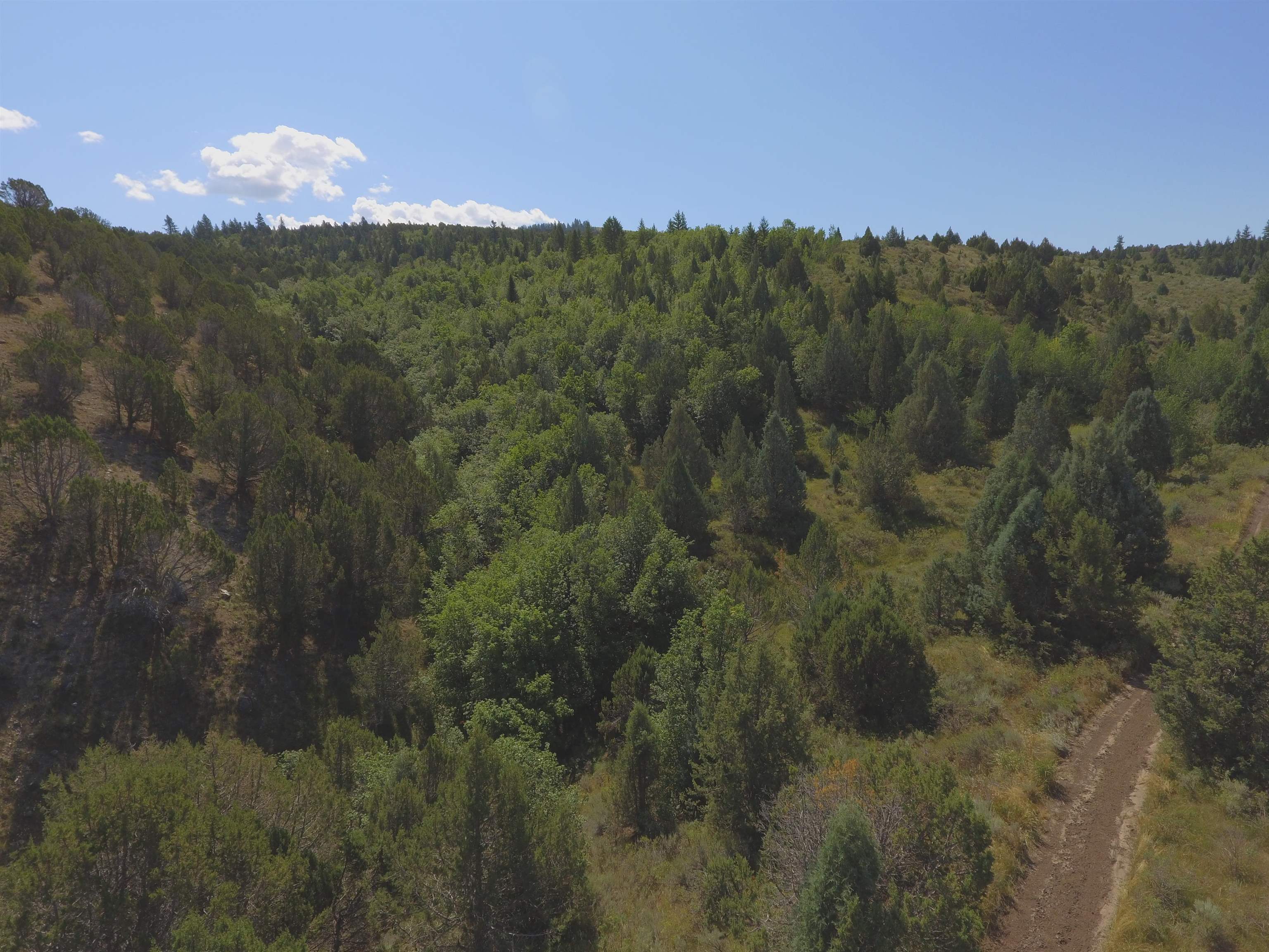 Fish Creek Land, Lava Hot Springs, Idaho image 21