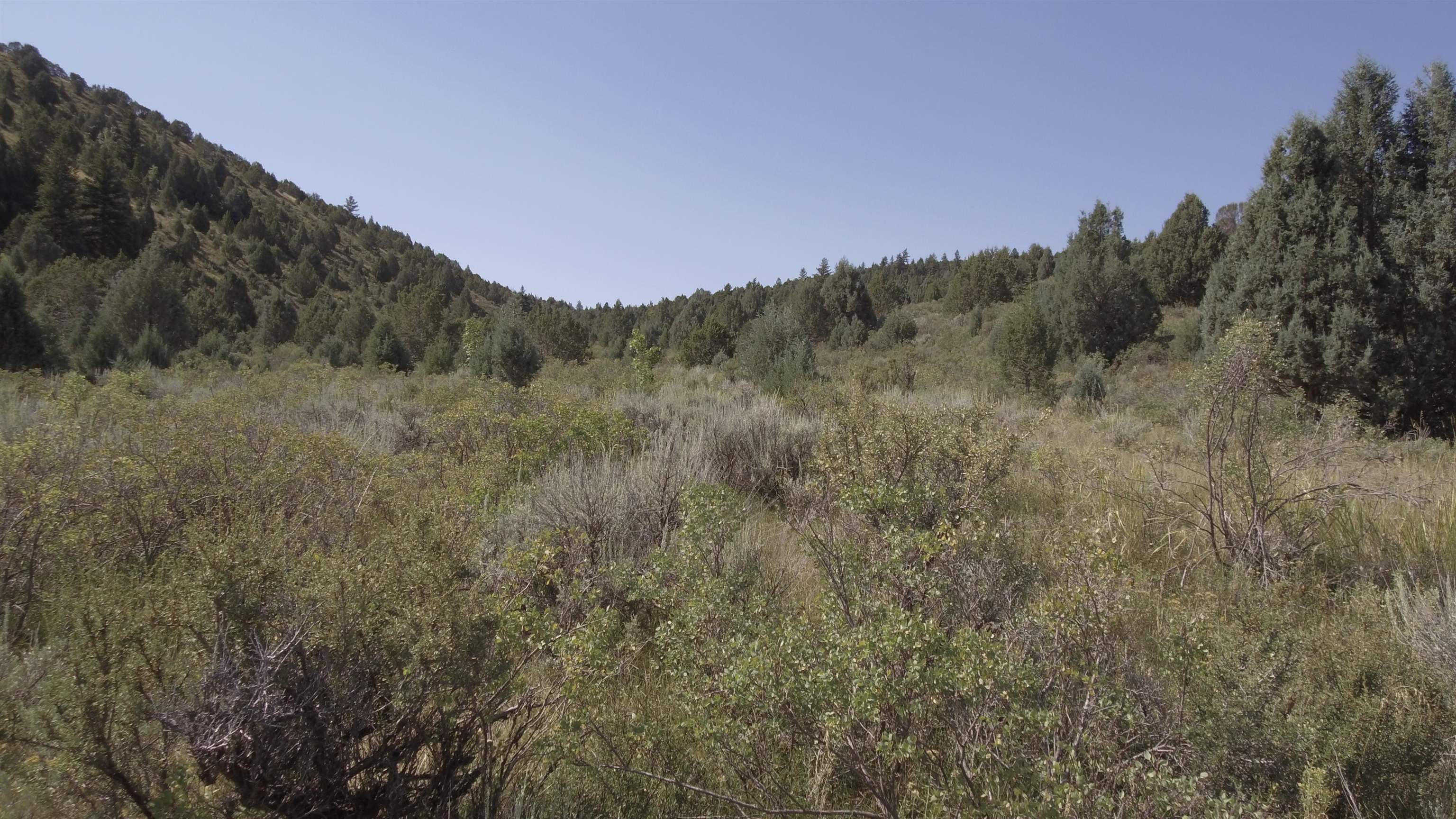 Fish Creek Land, Lava Hot Springs, Idaho image 5