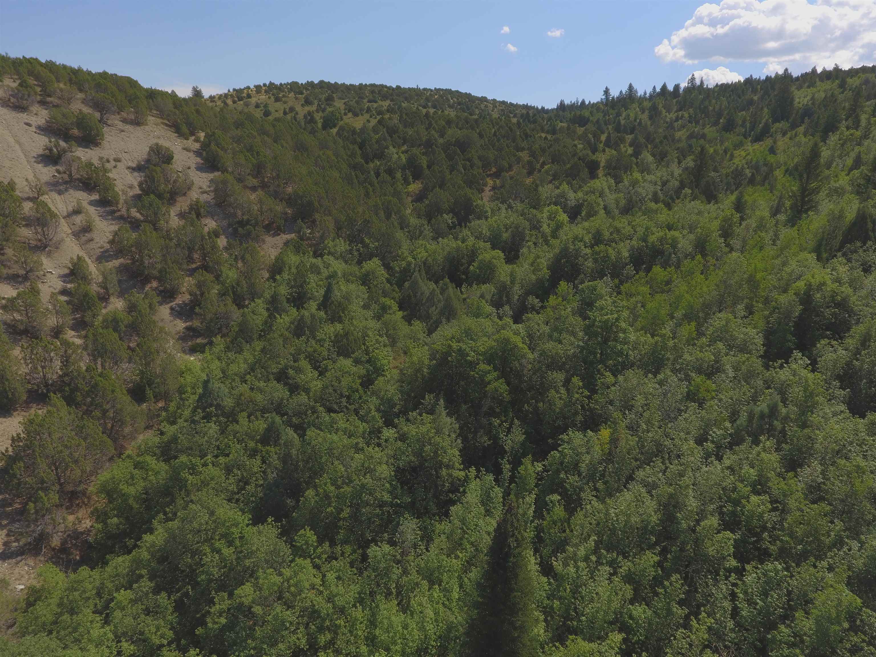 Fish Creek Land, Lava Hot Springs, Idaho image 24