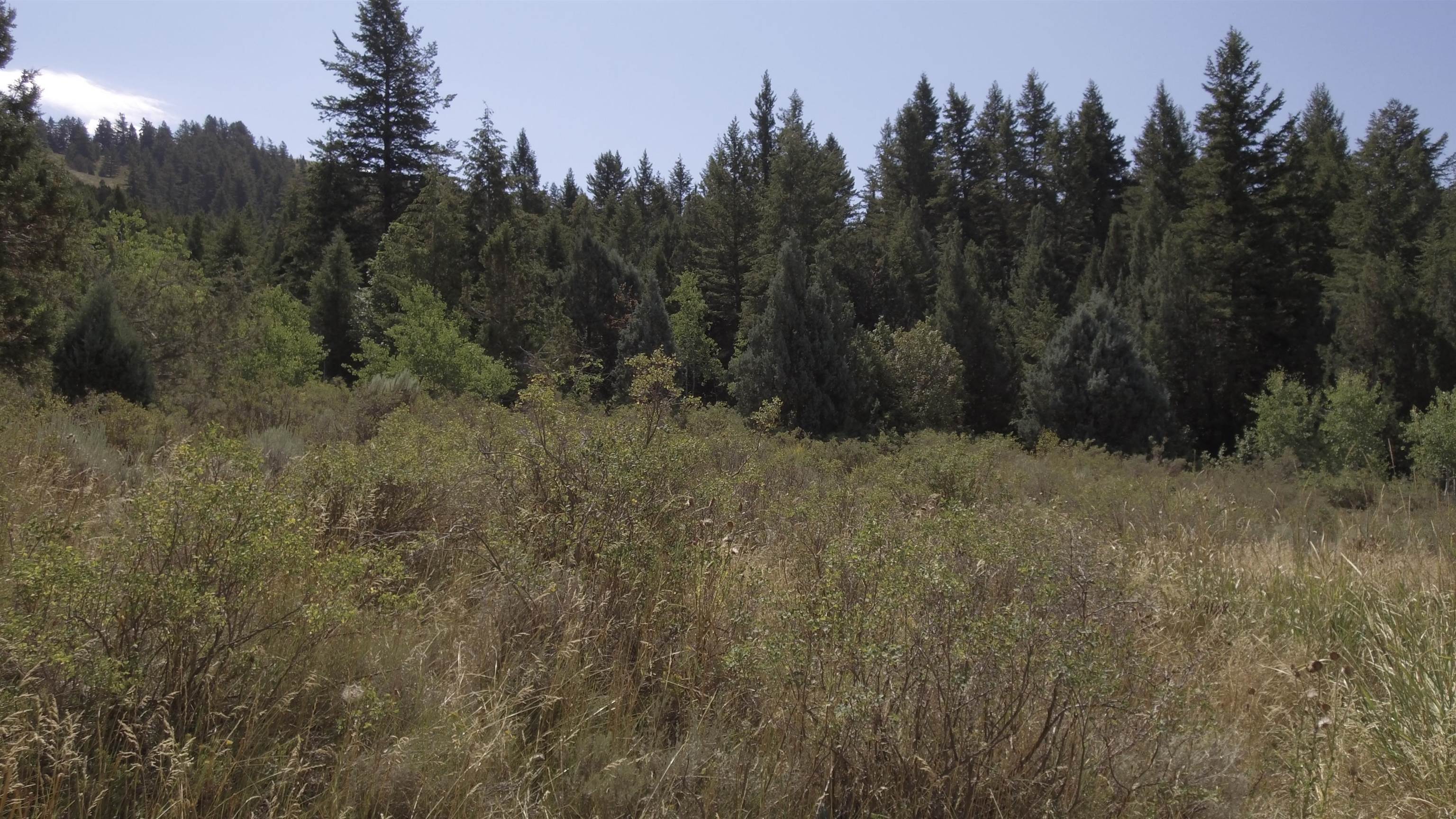 Fish Creek Land, Lava Hot Springs, Idaho image 7