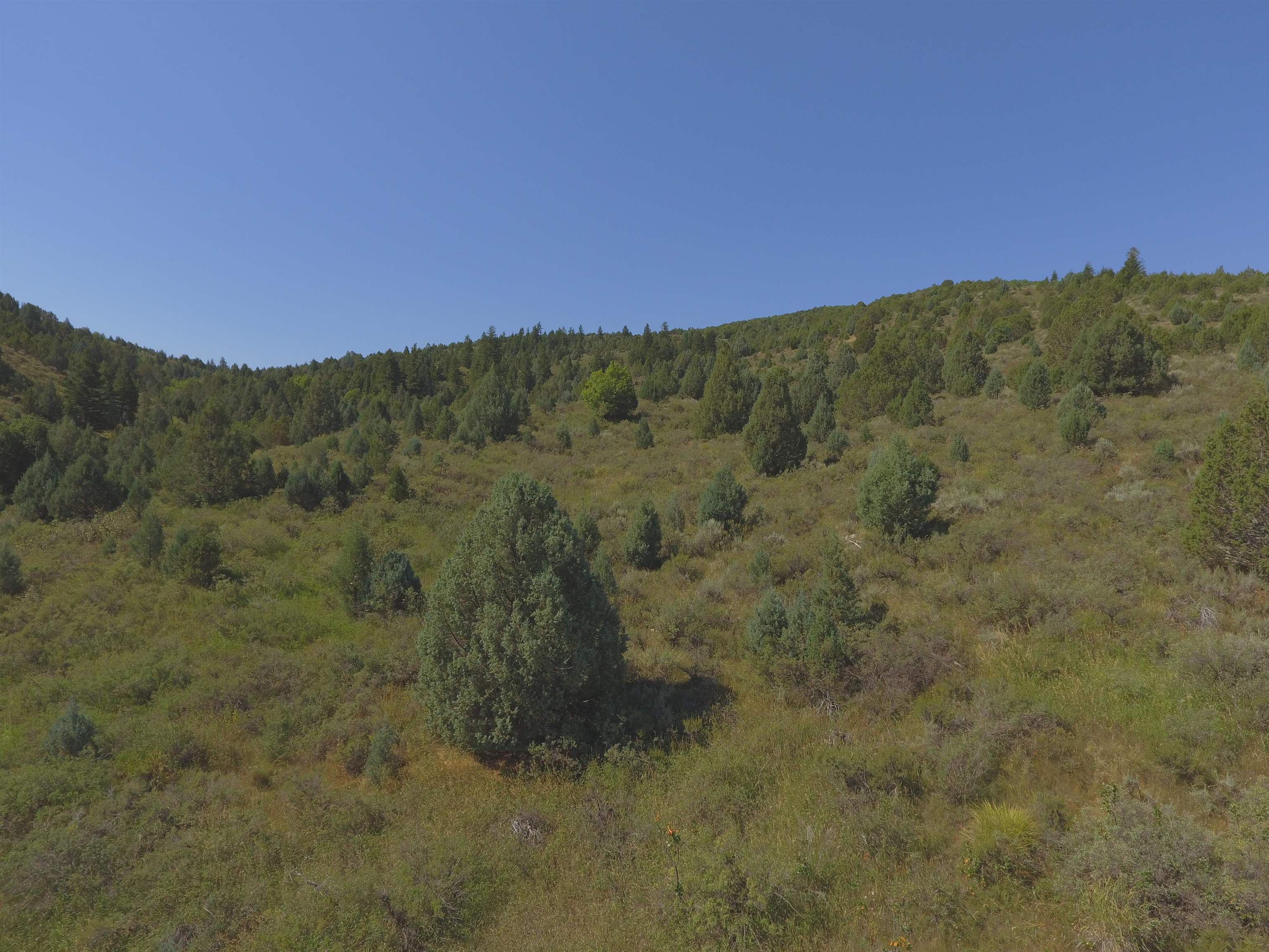 Fish Creek Land, Lava Hot Springs, Idaho image 20