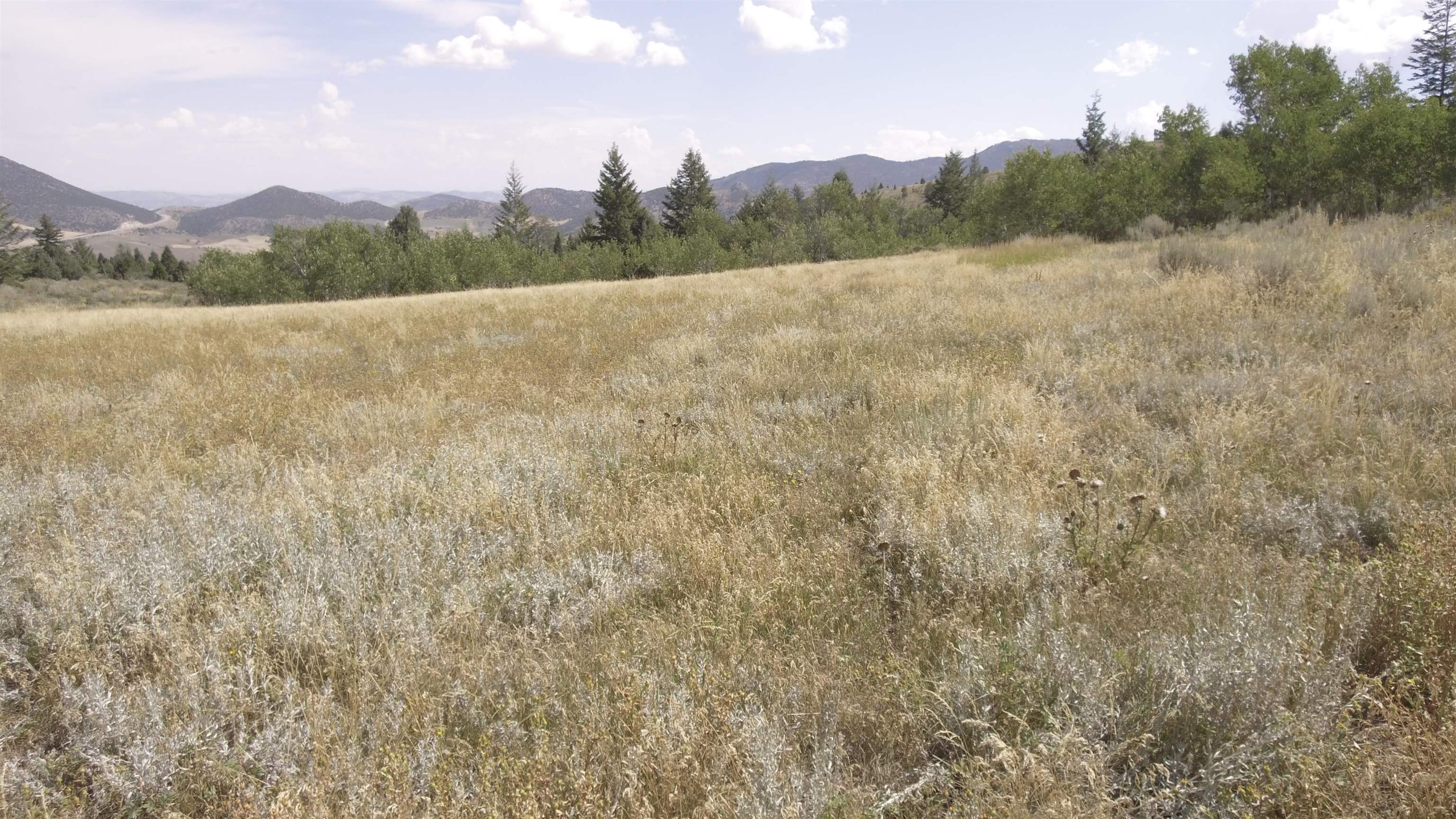 Fish Creek Land, Lava Hot Springs, Idaho image 15