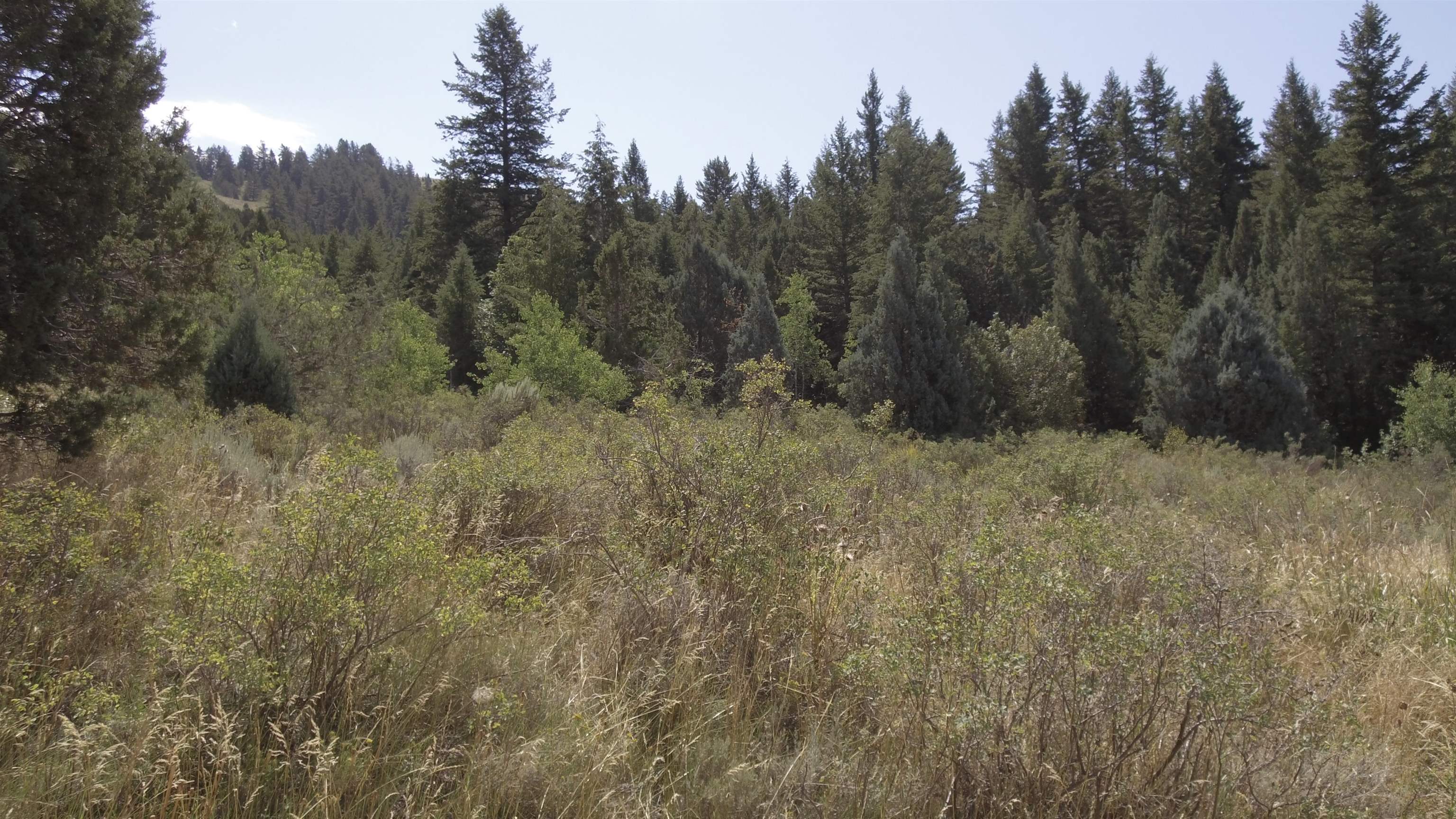 Fish Creek Land, Lava Hot Springs, Idaho image 4