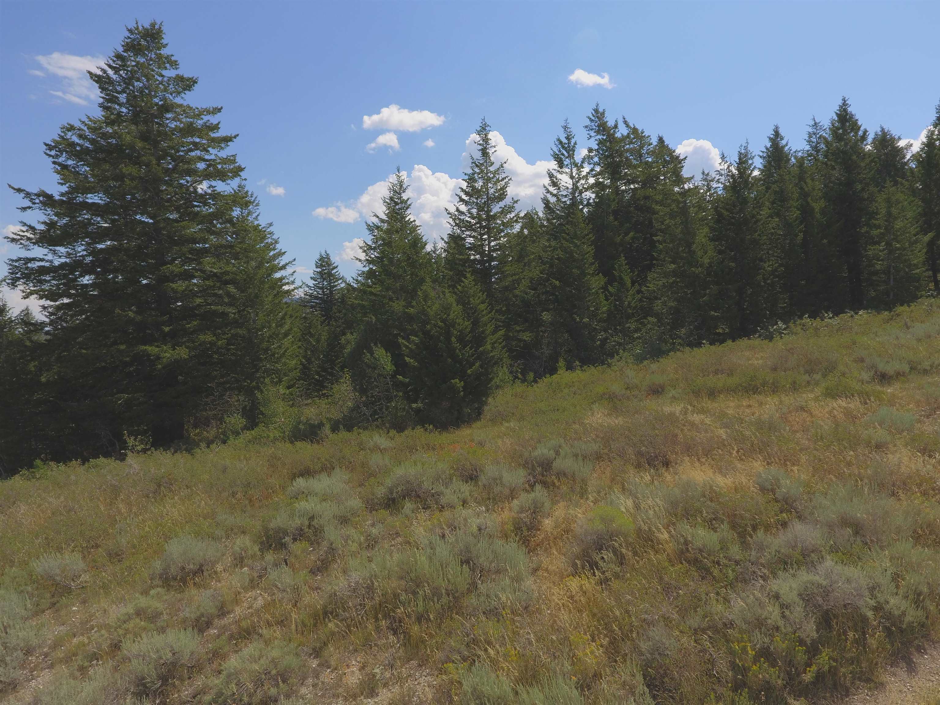 Fish Creek Land, Lava Hot Springs, Idaho image 13