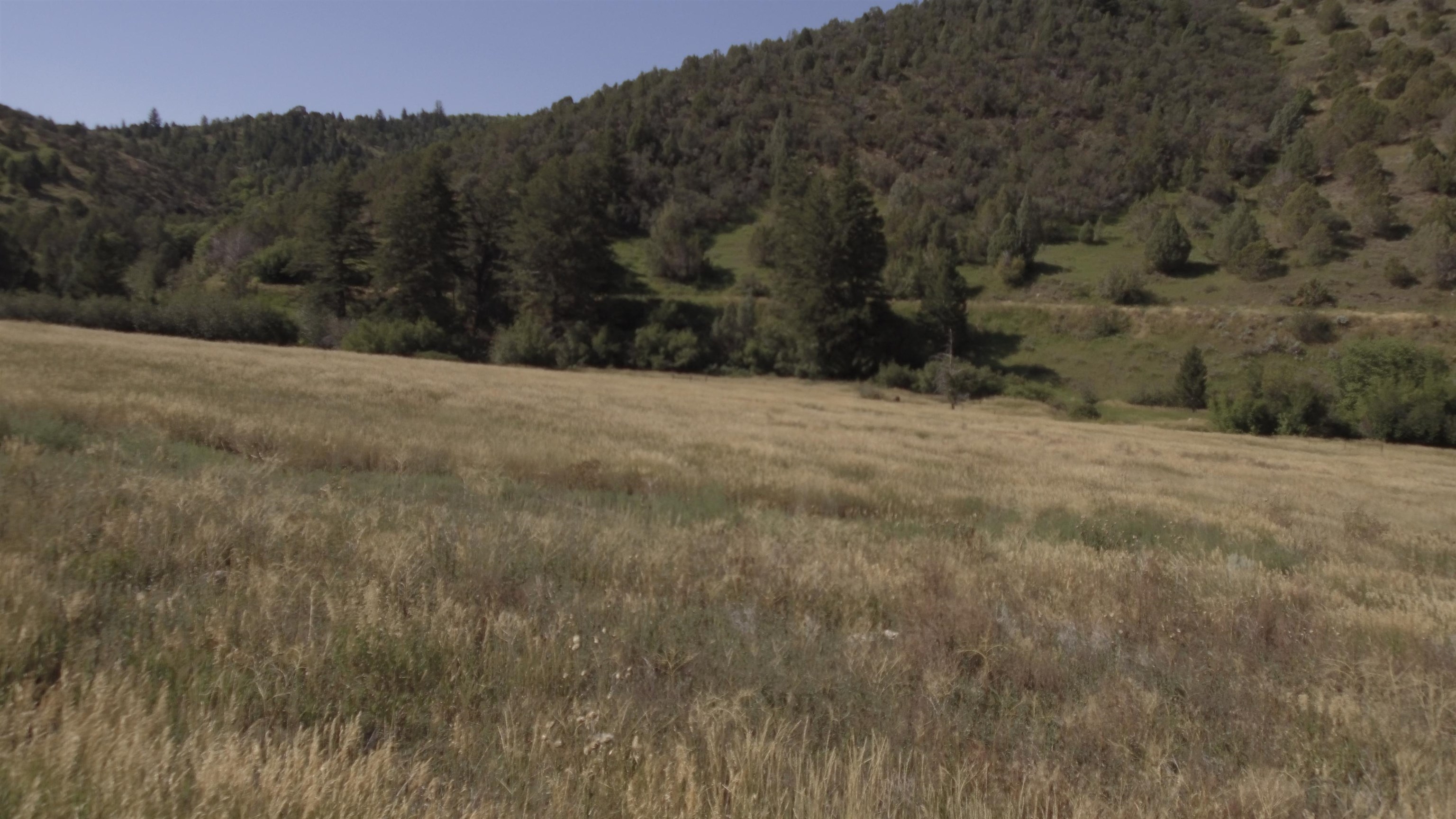 Fish Creek Land, Lava Hot Springs, Idaho image 2