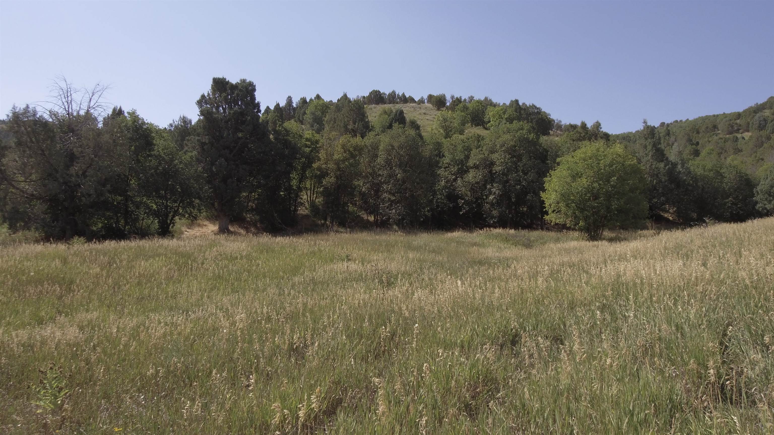 Fish Creek Land, Lava Hot Springs, Idaho image 16