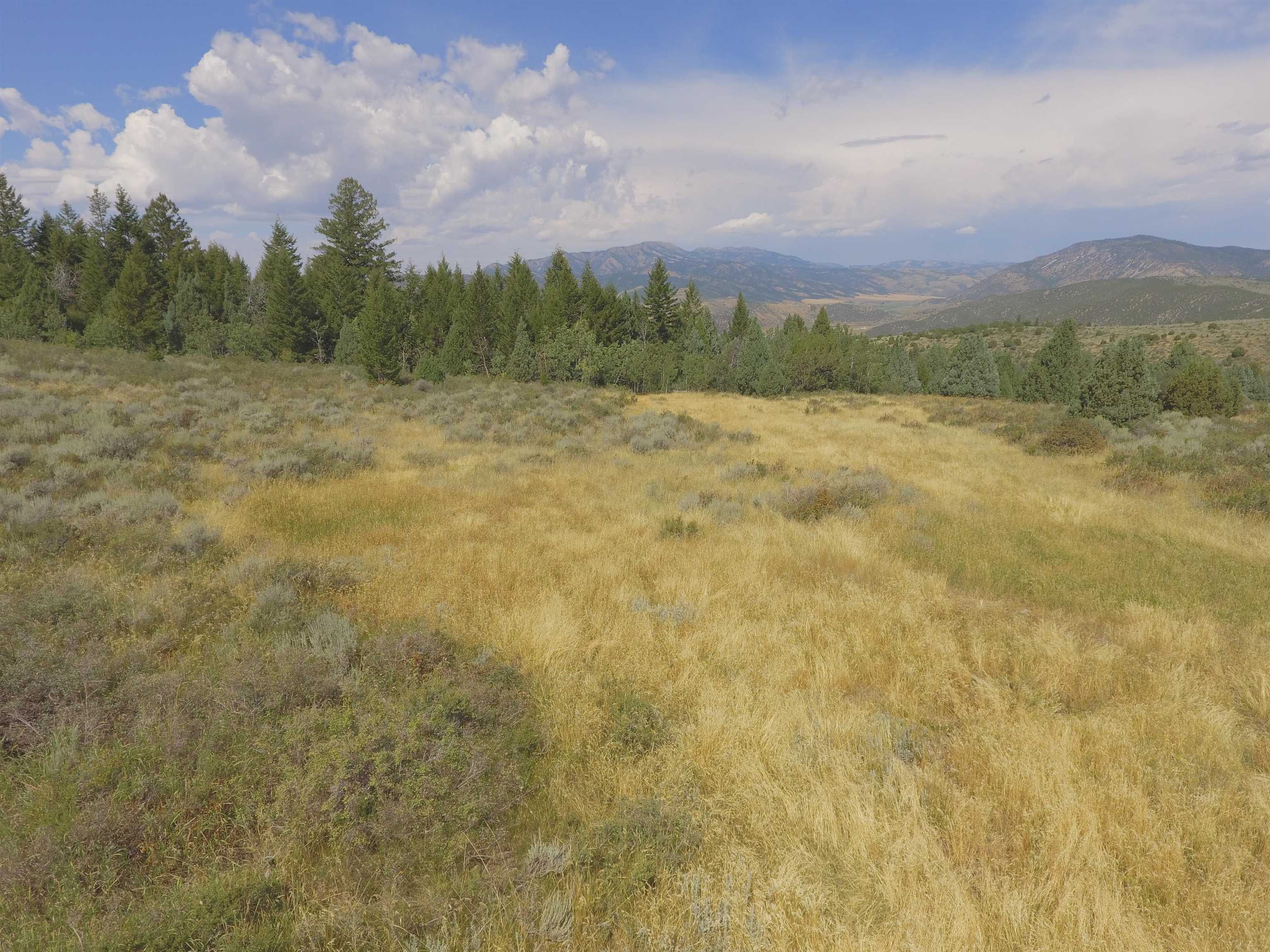 Fish Creek Land, Lava Hot Springs, Idaho image 11