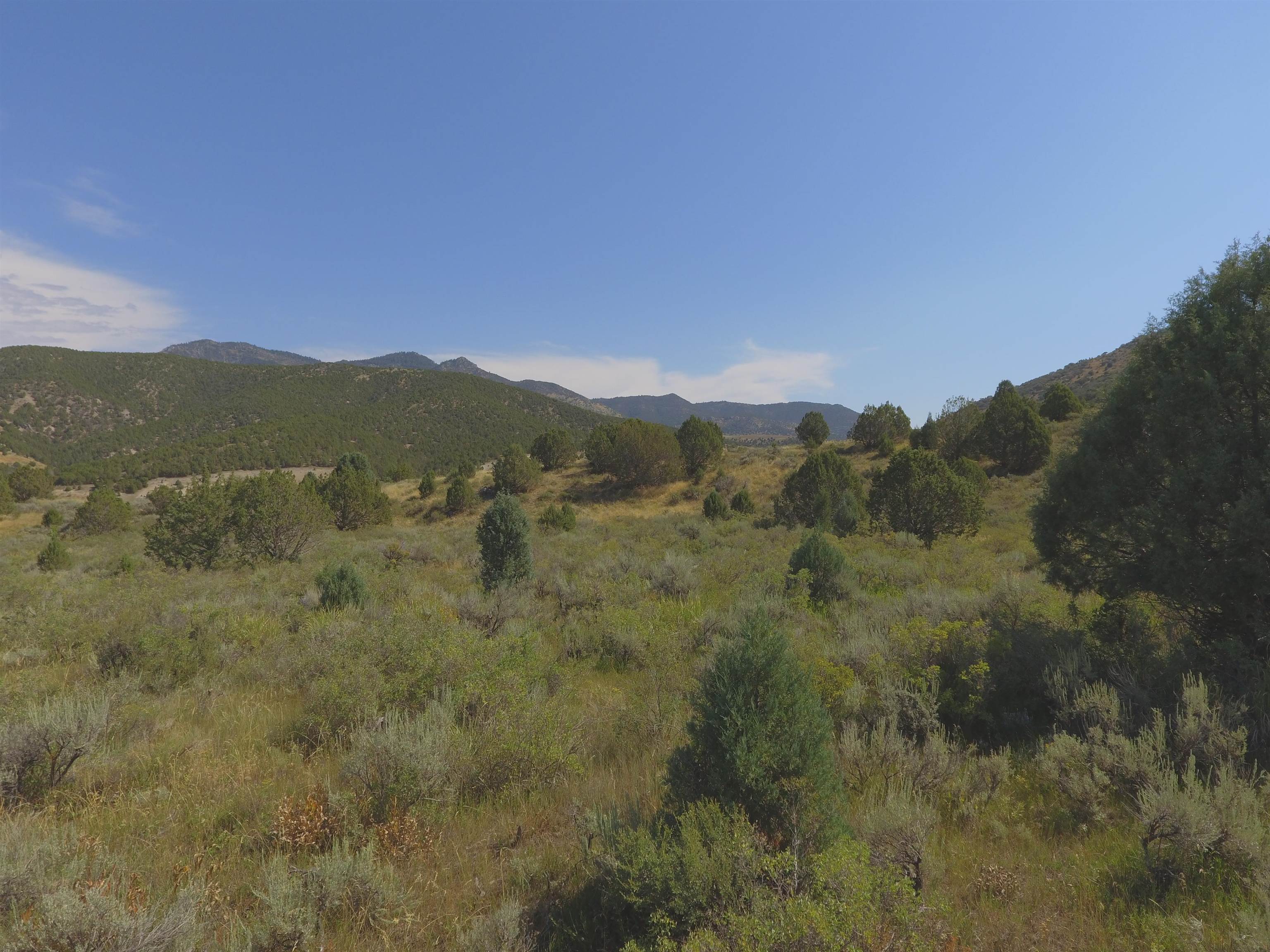 Fish Creek Land, Lava Hot Springs, Idaho image 19