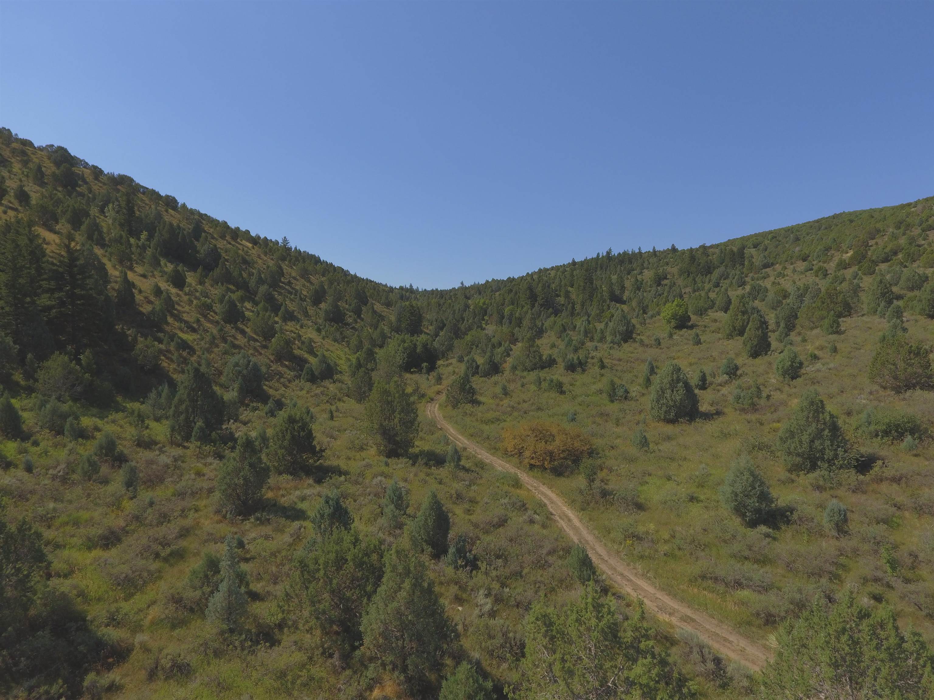 Fish Creek Land, Lava Hot Springs, Idaho image 3