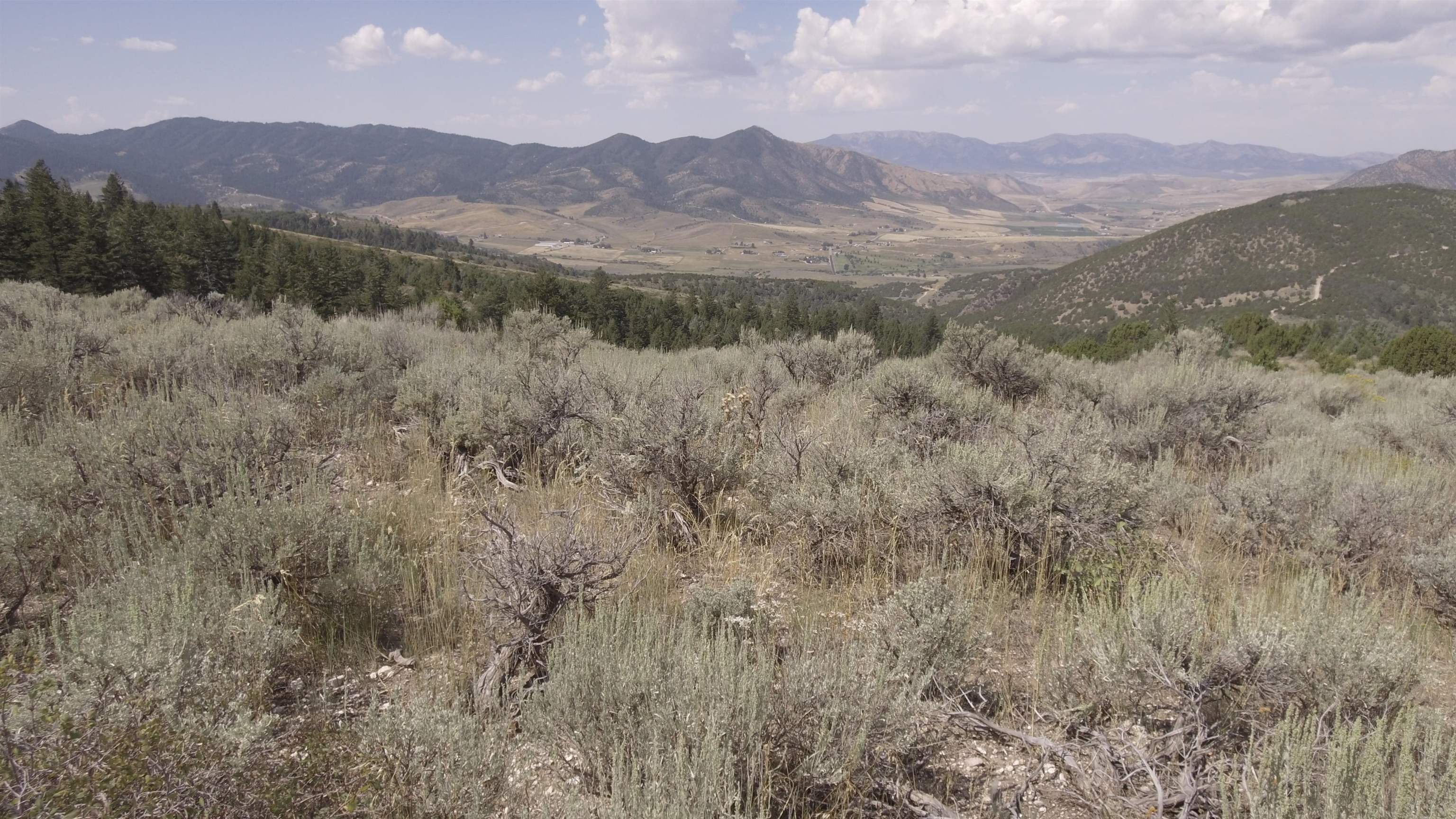 Fish Creek Land, Lava Hot Springs, Idaho image 18