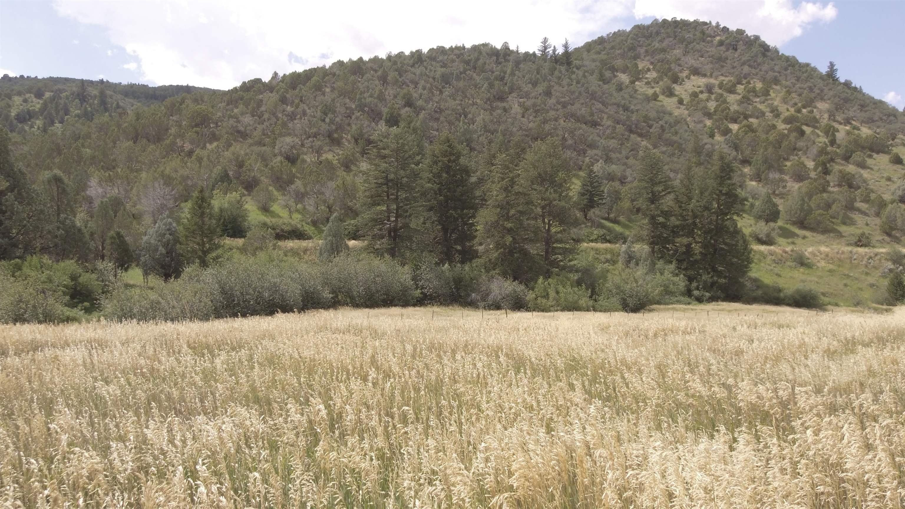 Fish Creek Land, Lava Hot Springs, Idaho image 23