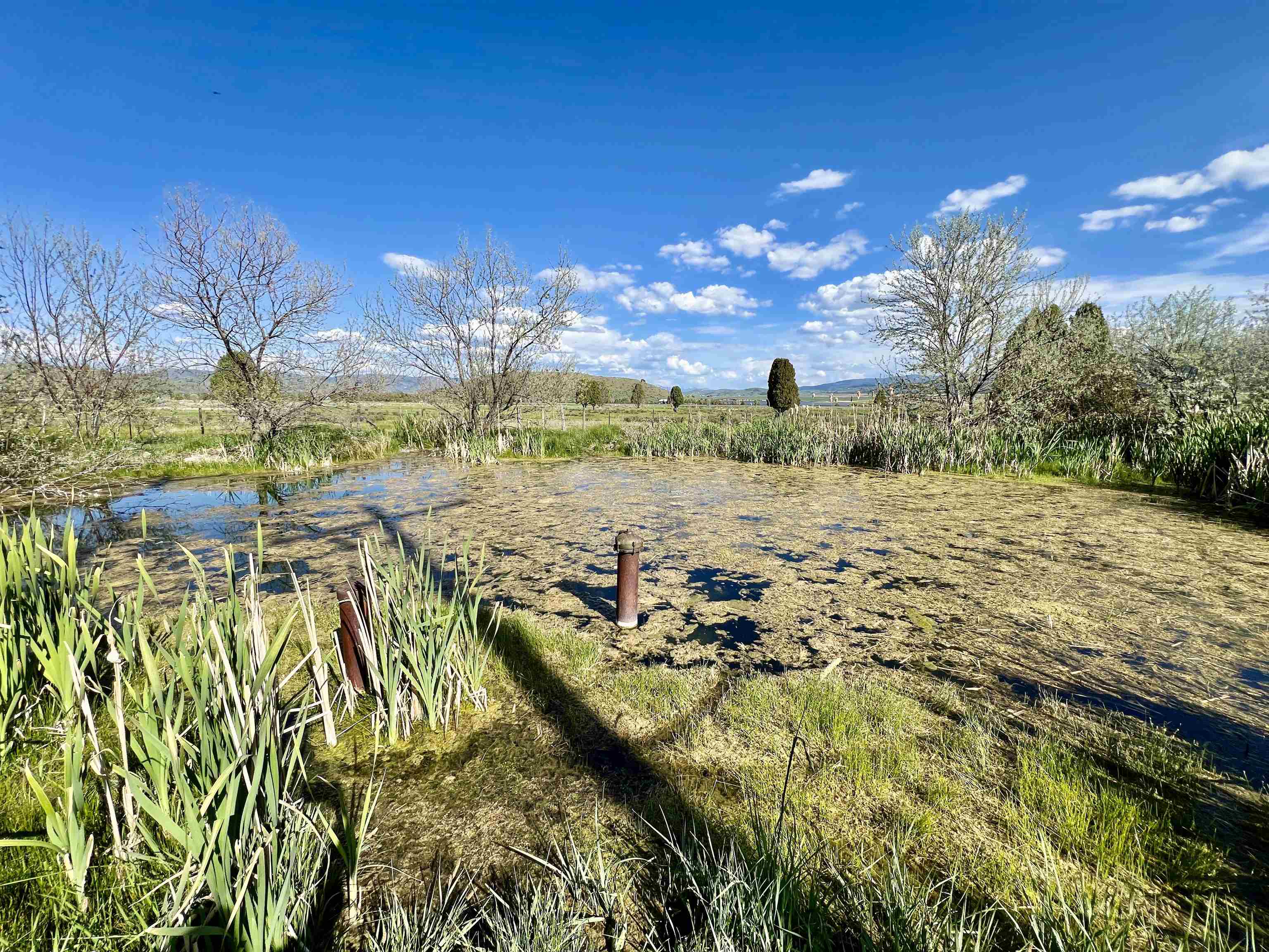 1691 Corder Circle, Soda Springs, Idaho image 3
