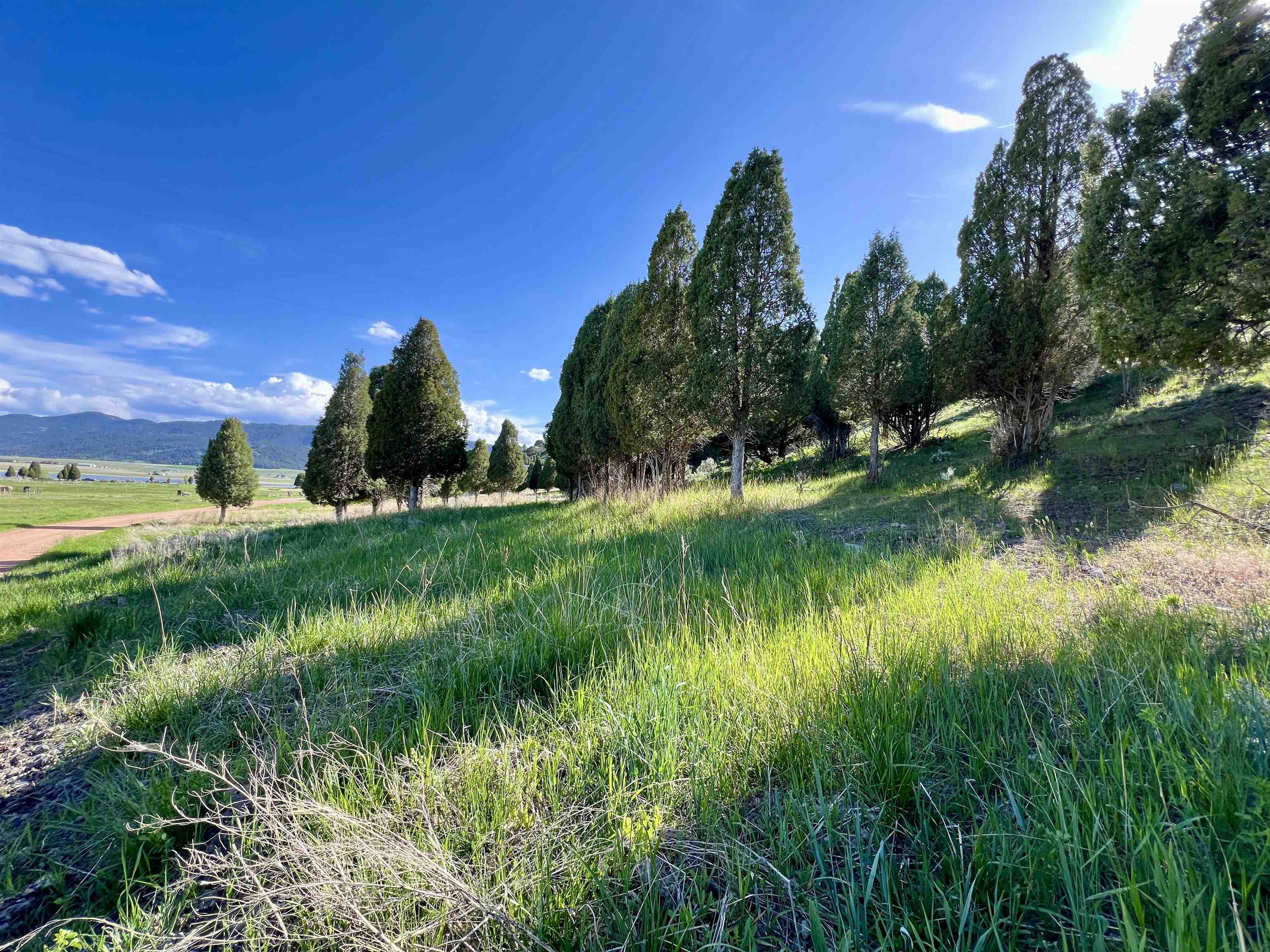 1691 Corder Circle, Soda Springs, Idaho image 4