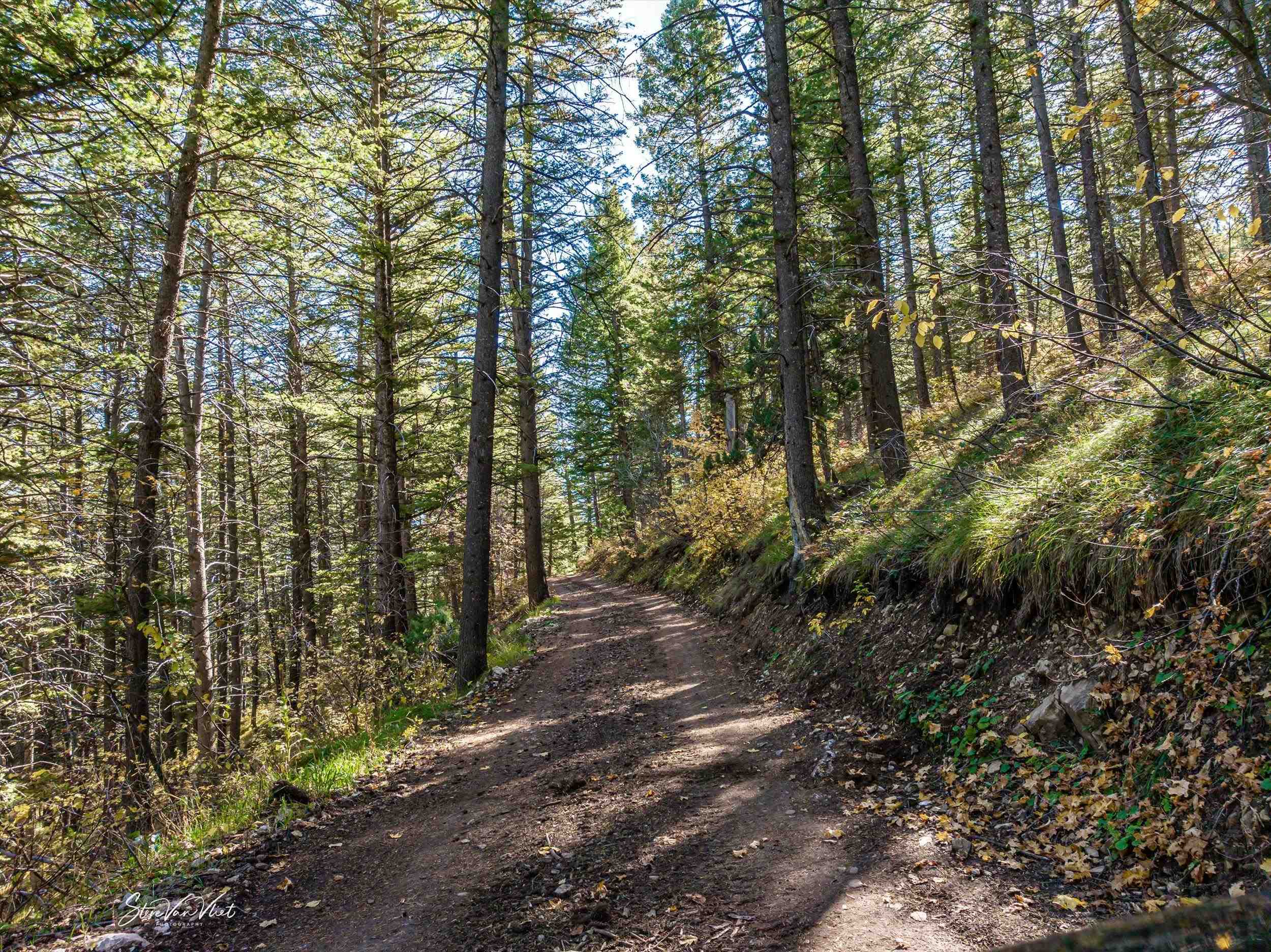 52 E Pine Dr, Lava Hot Springs, Idaho image 8