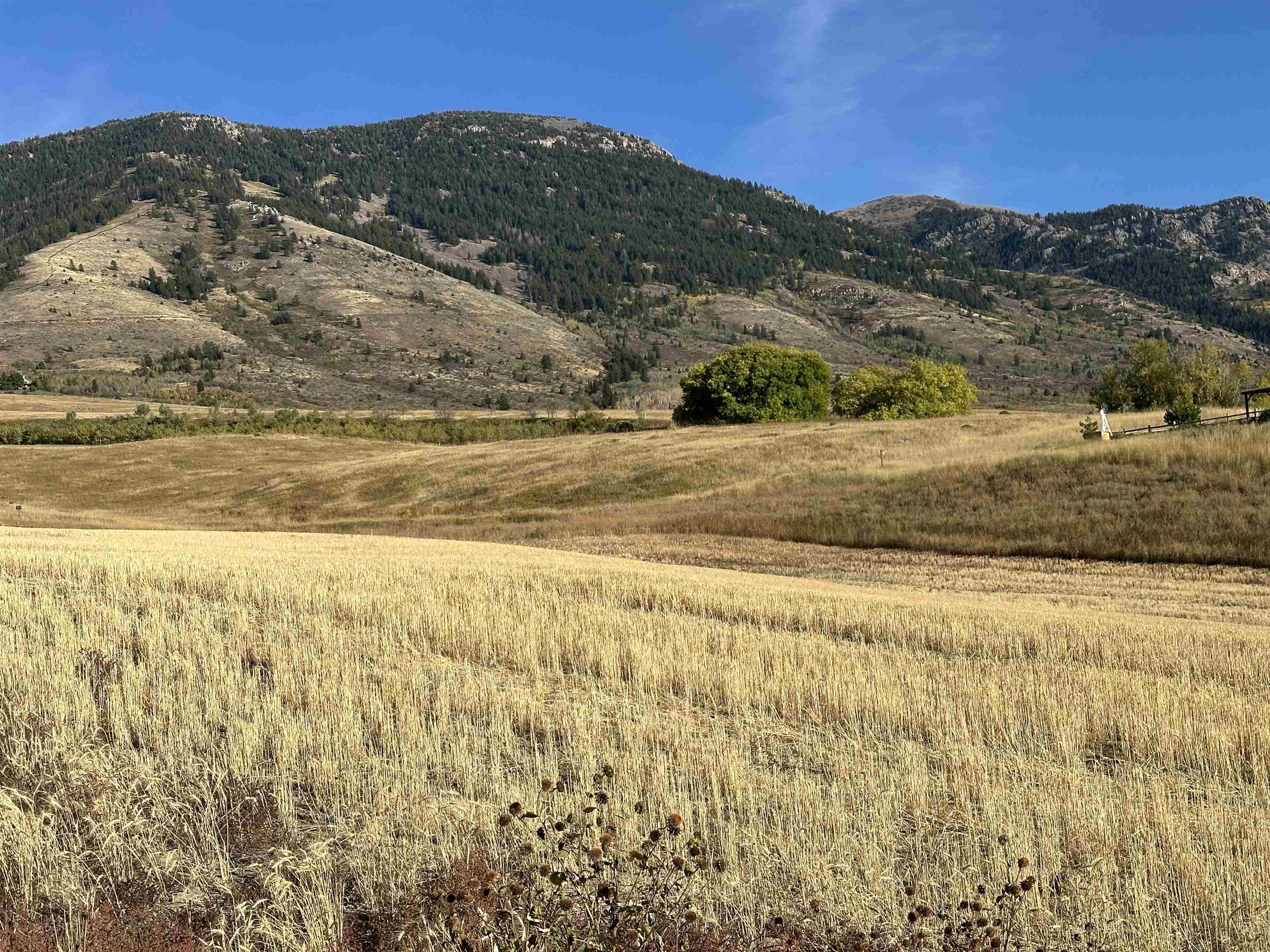 LOT 29 Eagle View Drive, Inkom, Idaho image 1