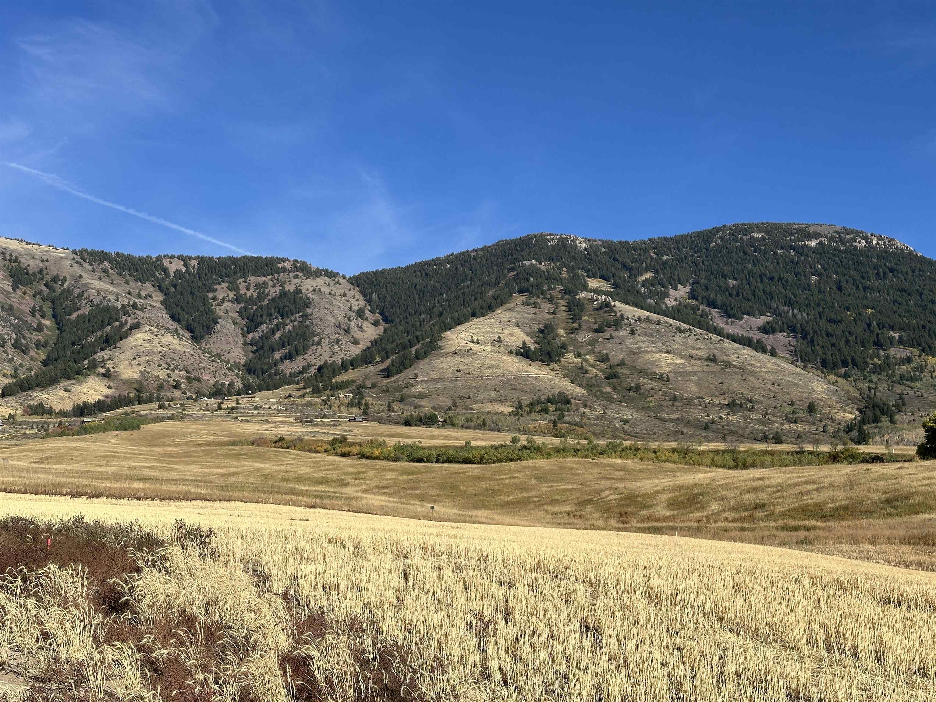 LOT 29 Eagle View Drive, Inkom, Idaho image 4