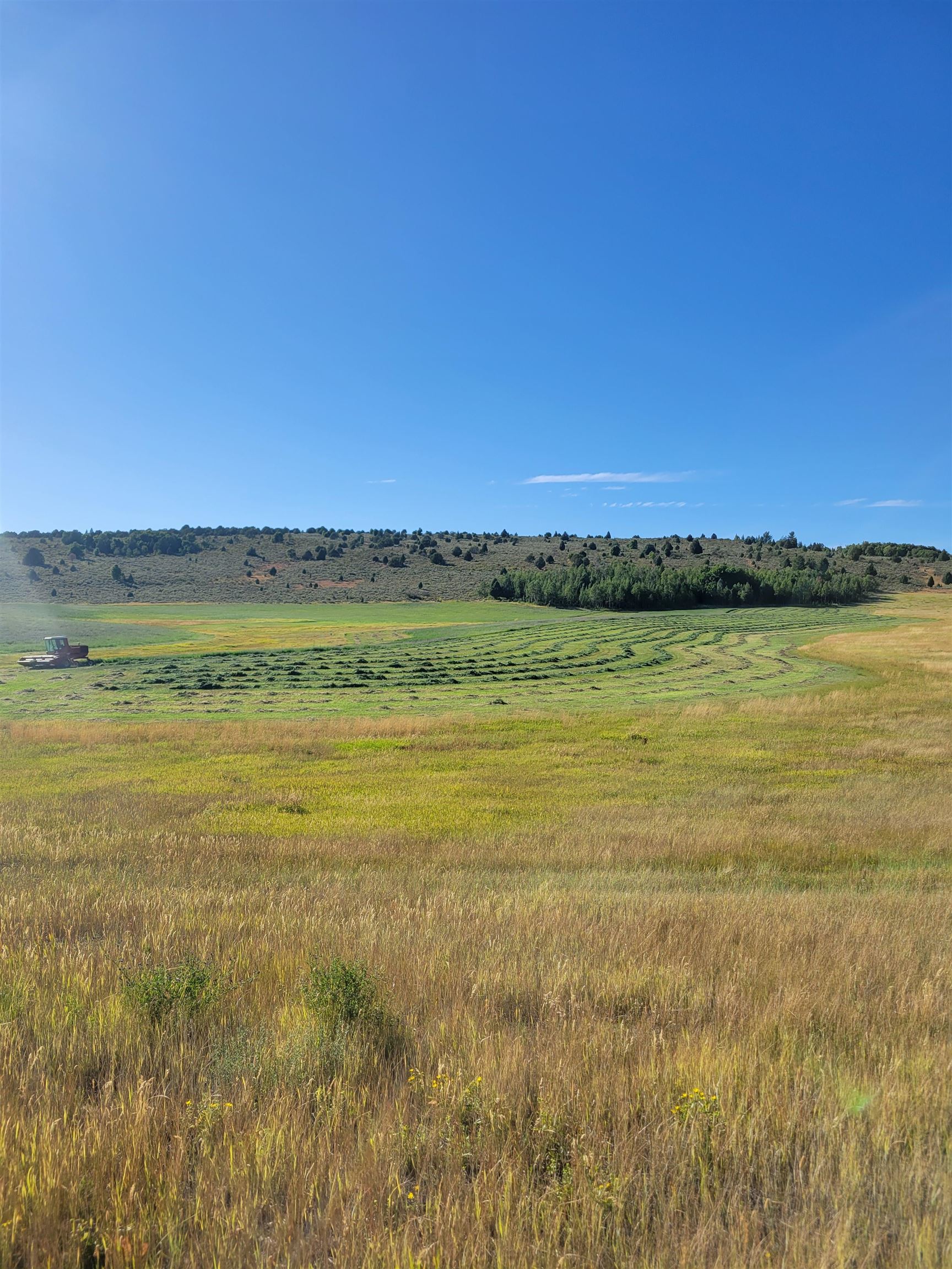 TBD Hwy 30 #BARE GROUND COMMONLY KNOW, Lava Hot Springs, Idaho image 6