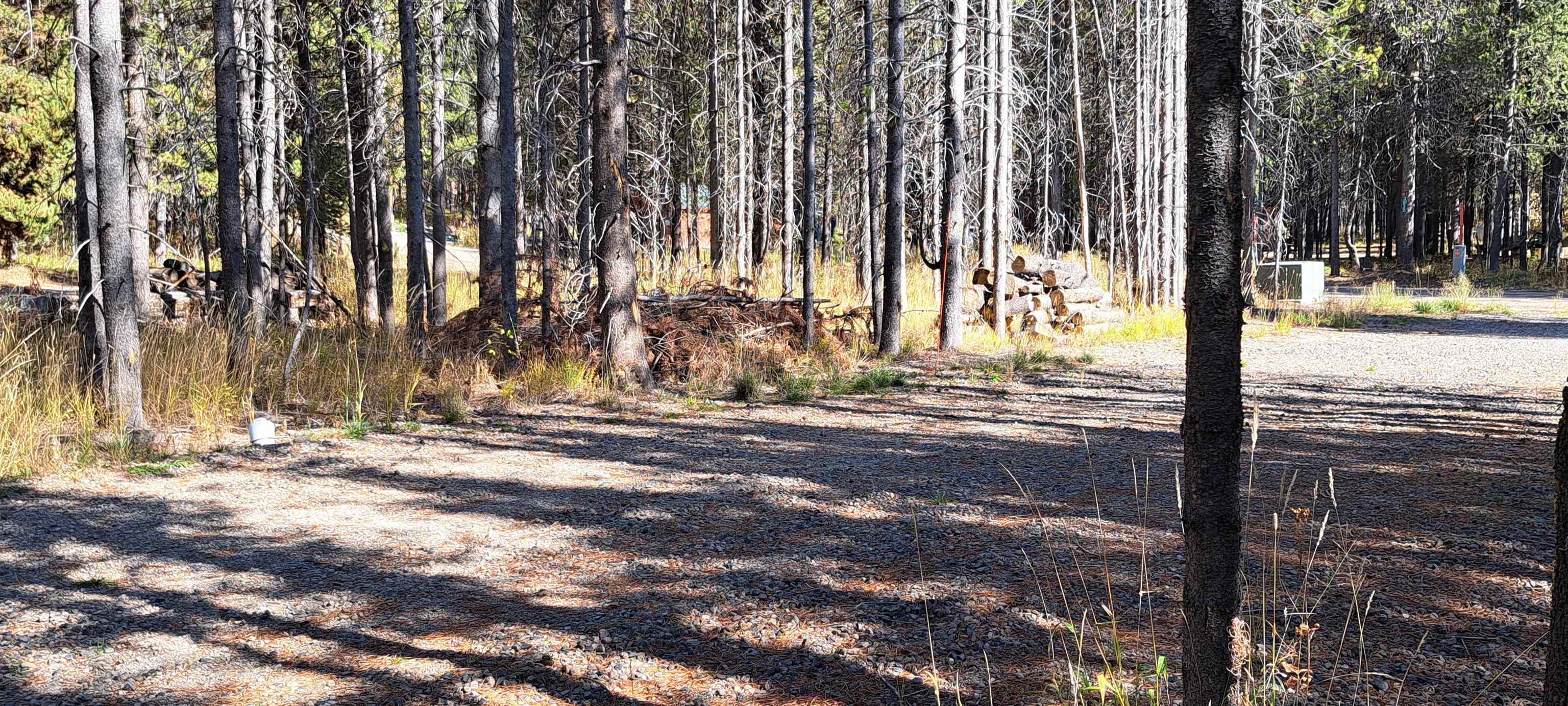 4345 Ridge Crest, Ashton, Idaho image 20