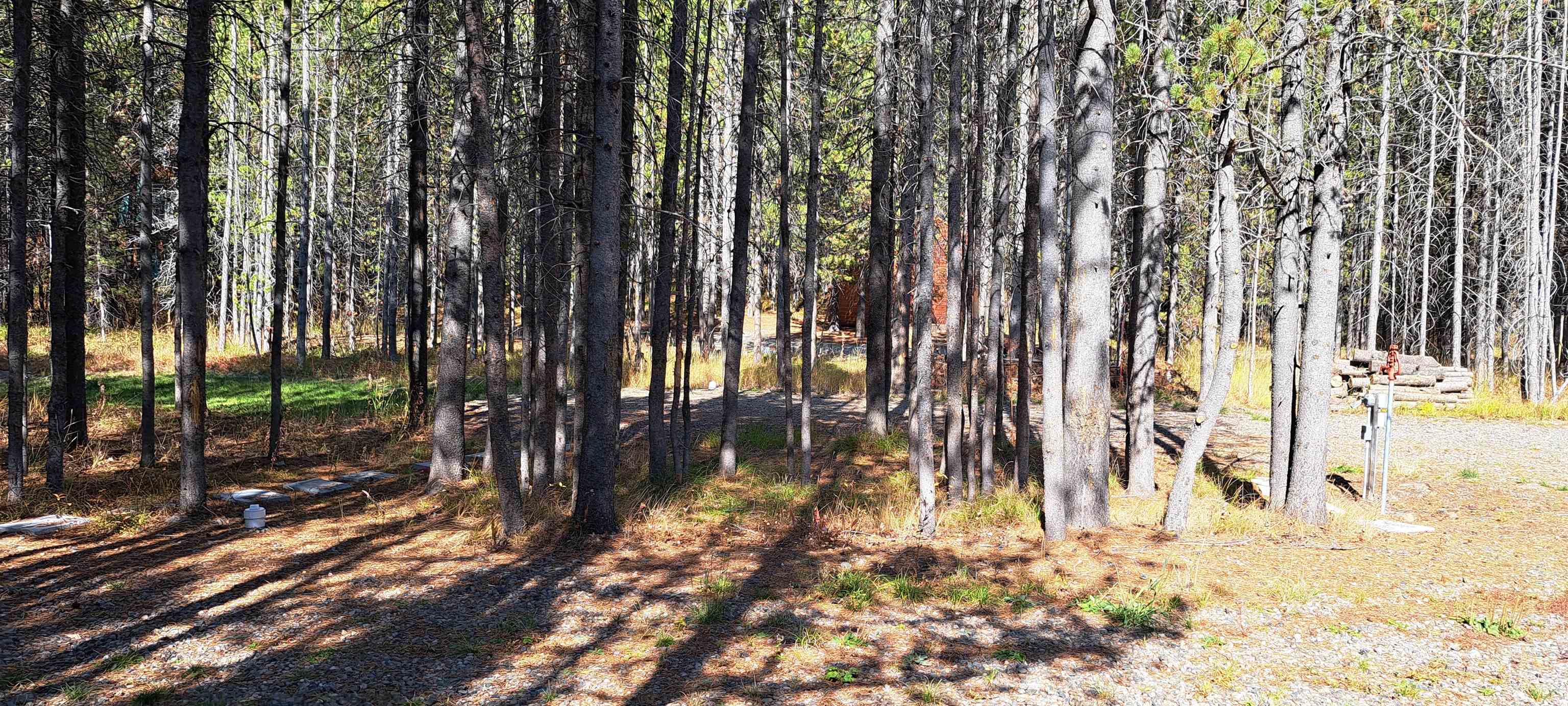 4345 Ridge Crest, Ashton, Idaho image 19