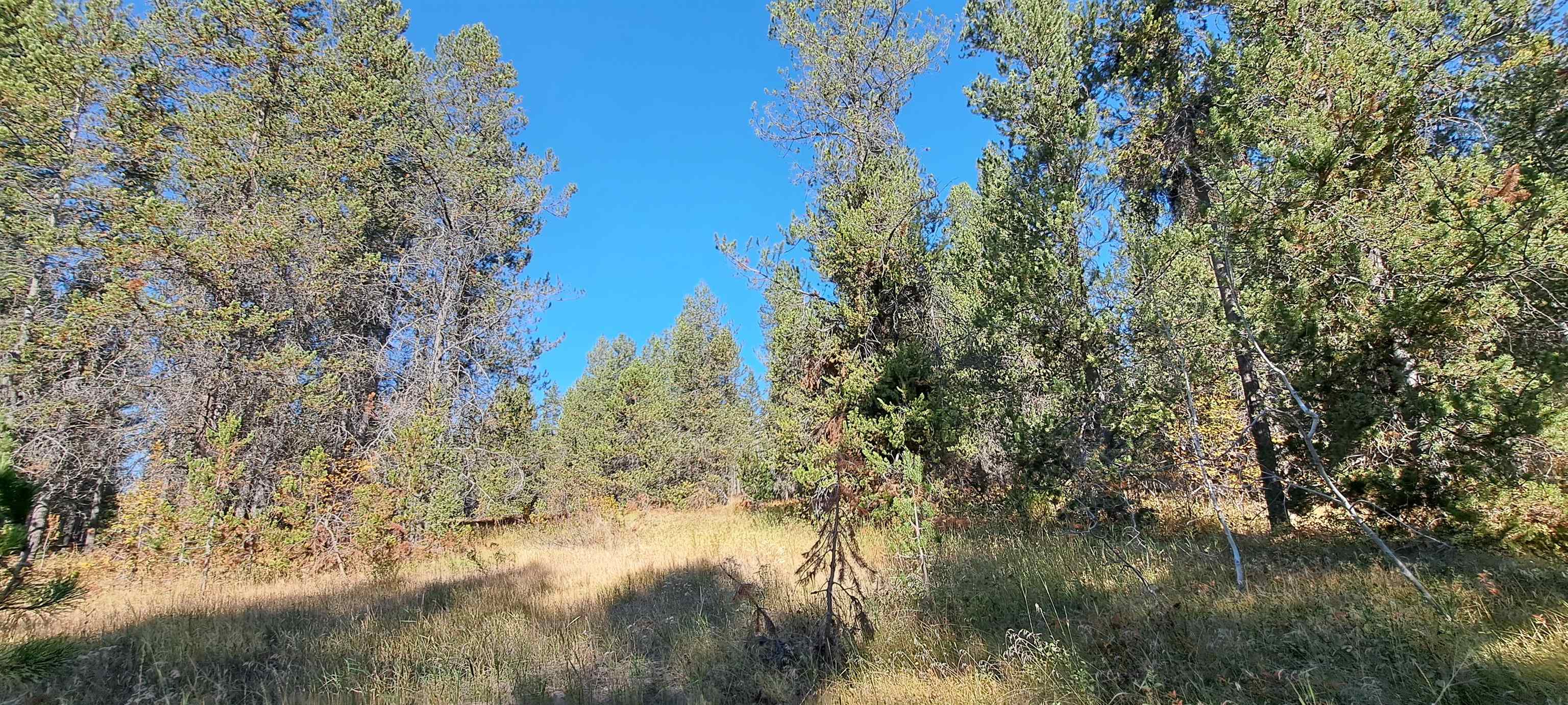 4345 Ridge Crest, Ashton, Idaho image 13