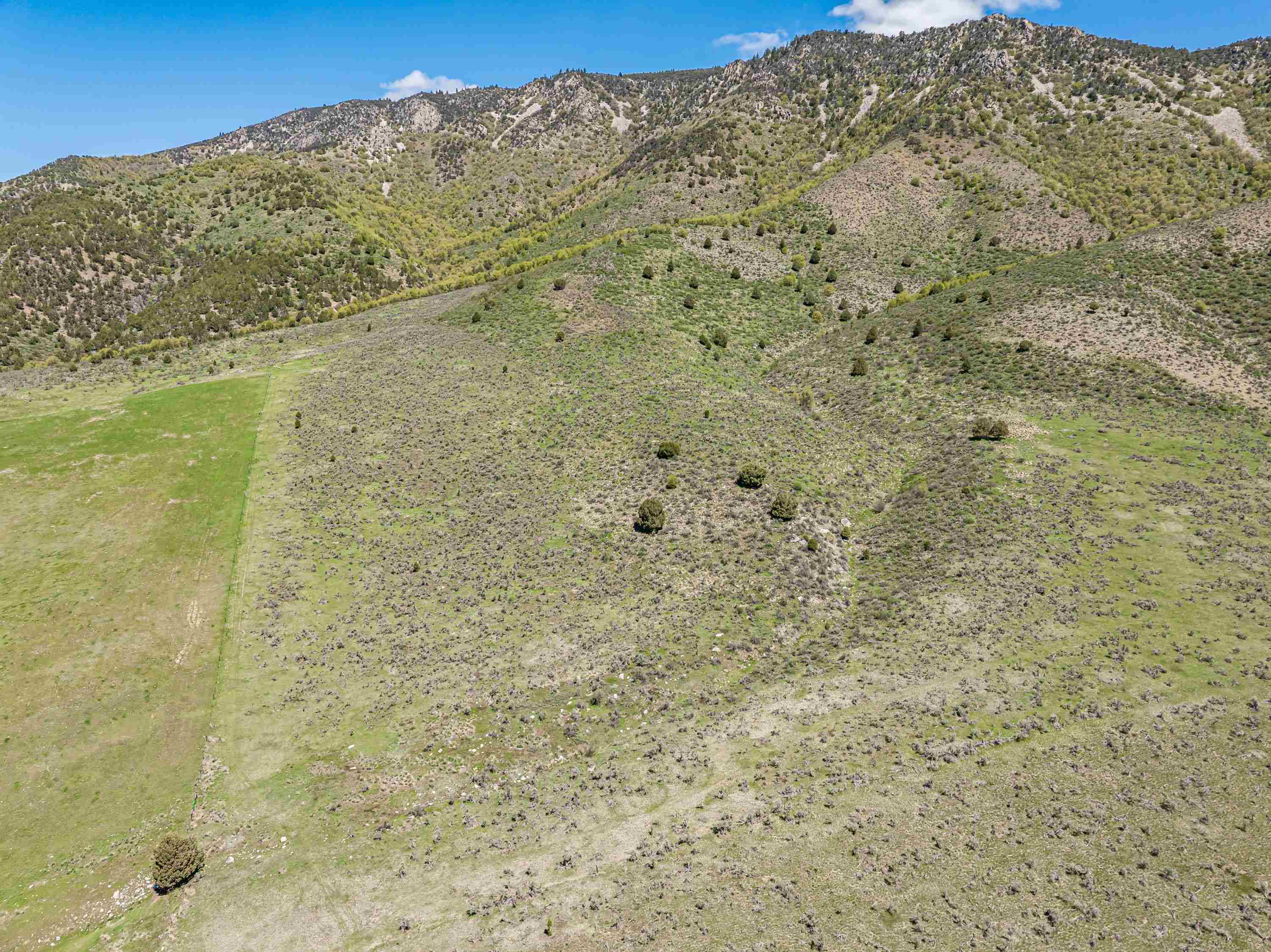 TBD Quail Way, Lava Hot Springs, Idaho image 6