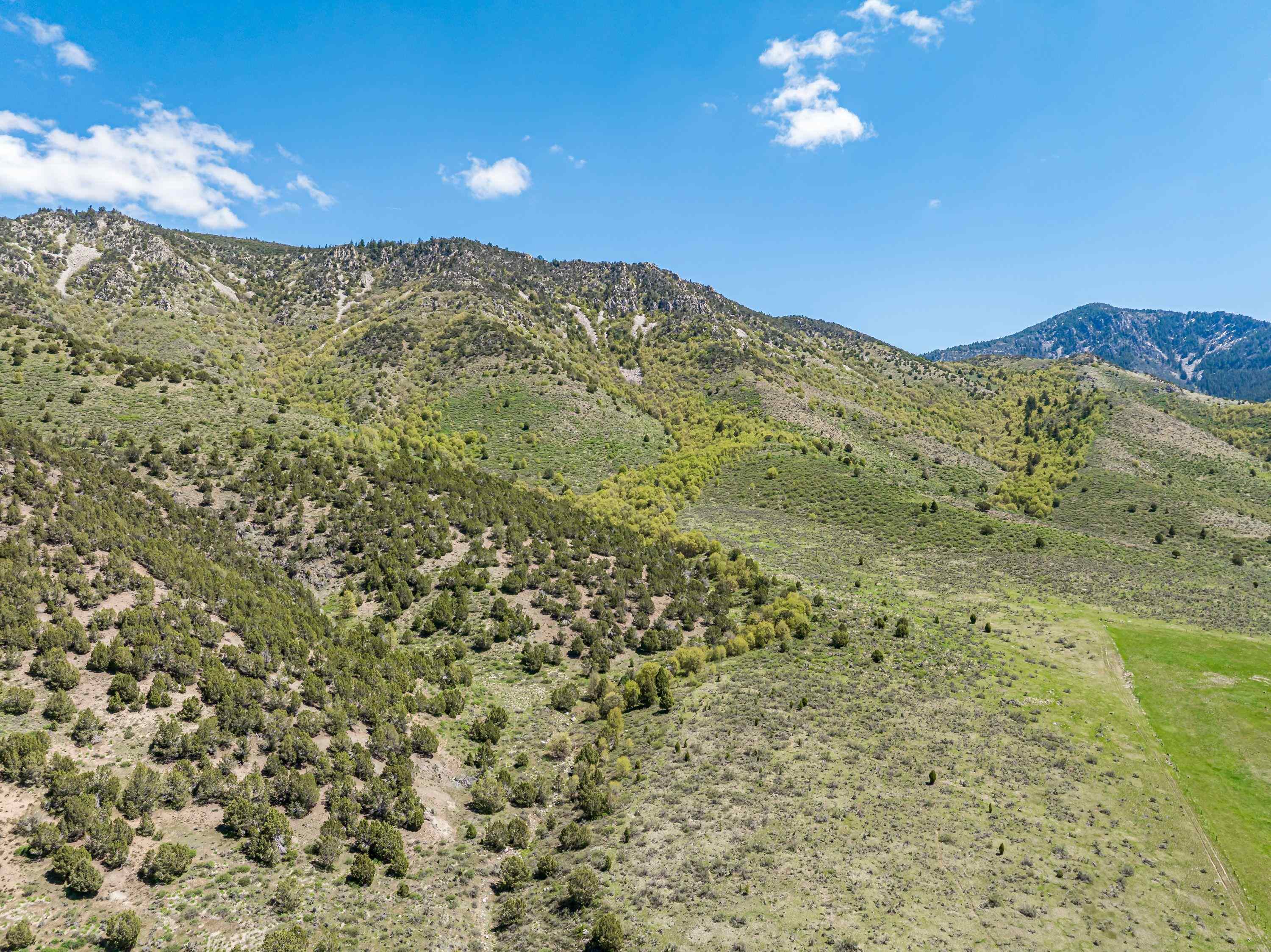 TBD Quail Way, Lava Hot Springs, Idaho image 1
