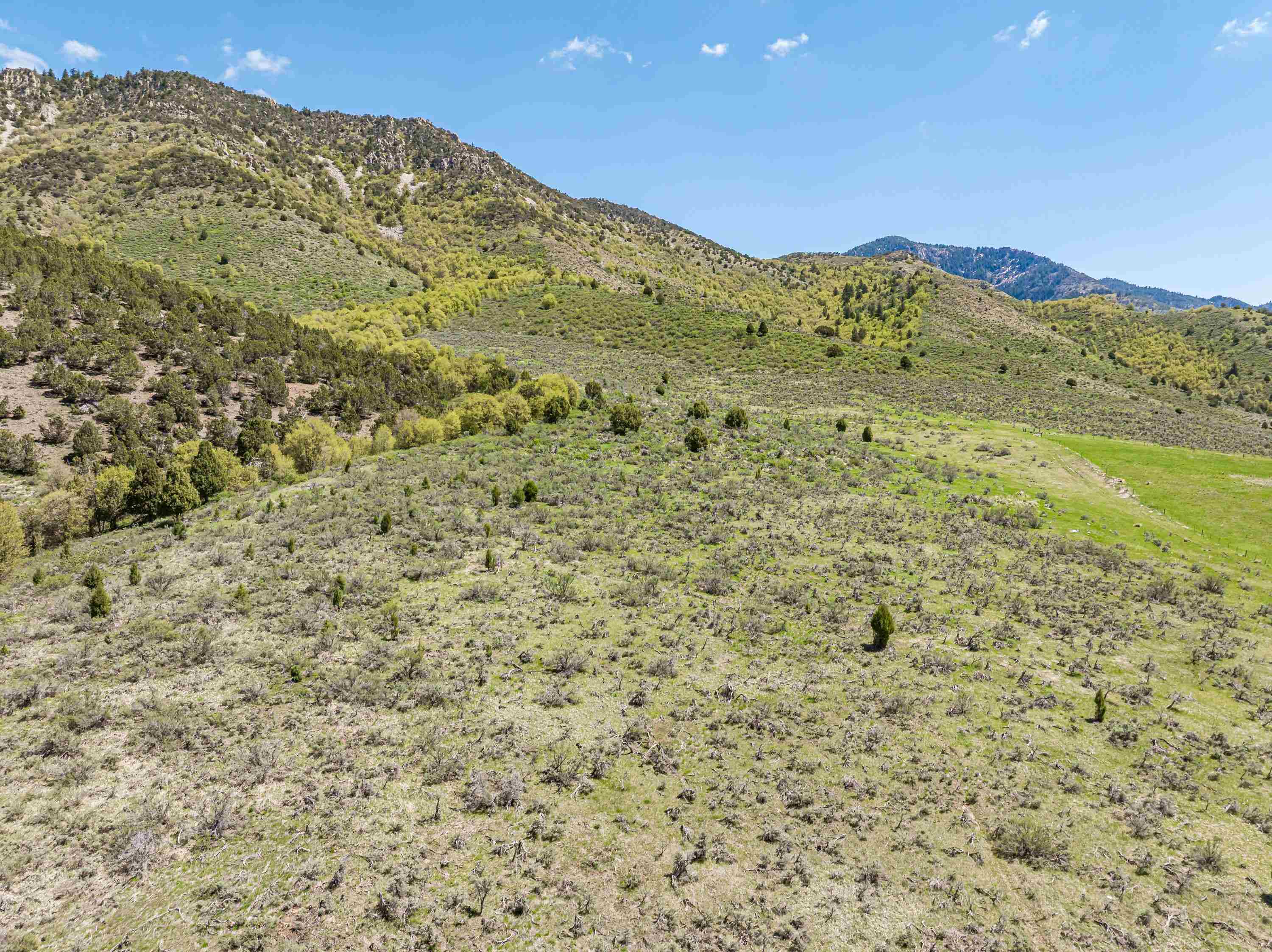 TBD Quail Way, Lava Hot Springs, Idaho image 8