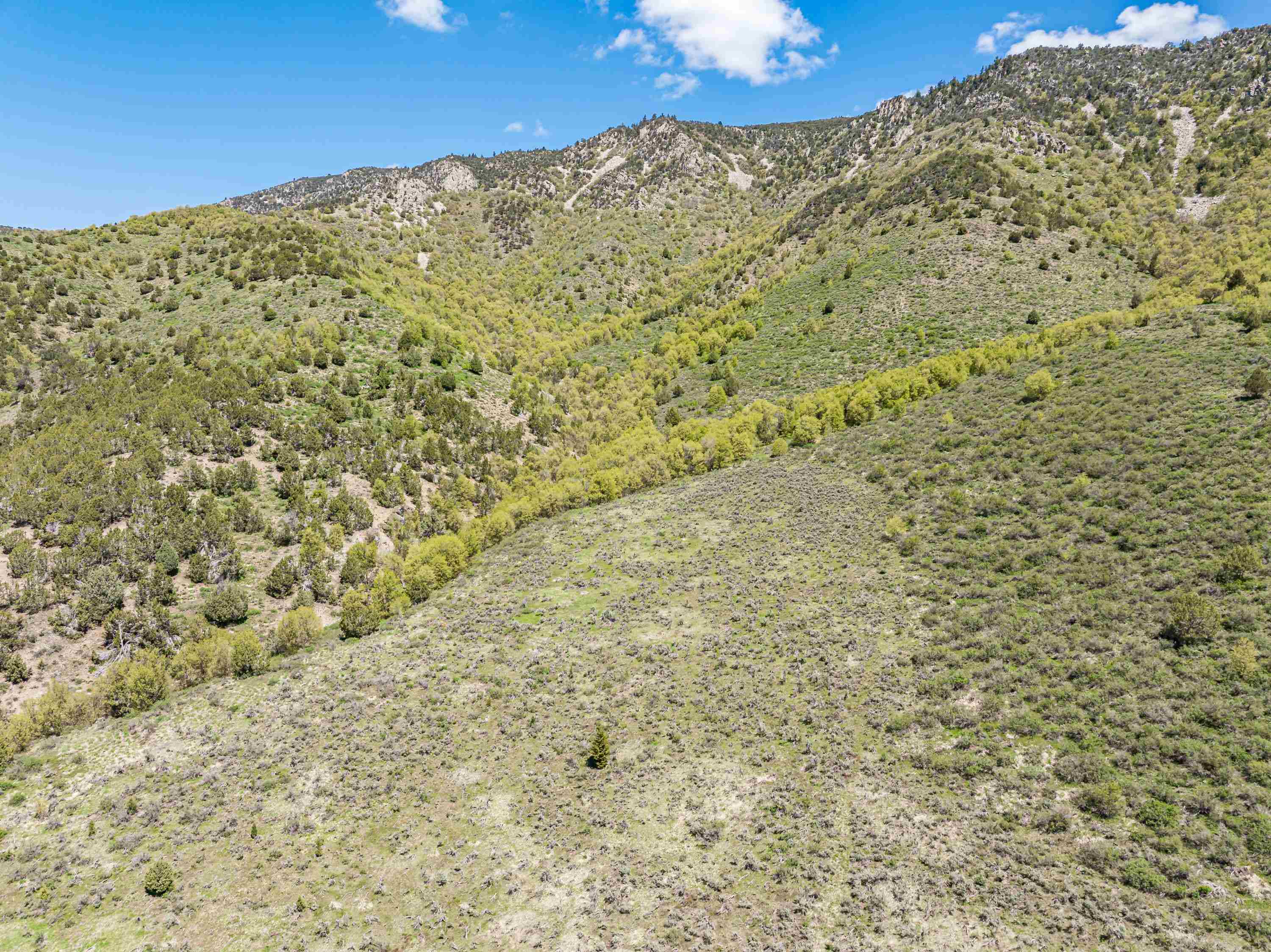 TBD Quail Way, Lava Hot Springs, Idaho image 10