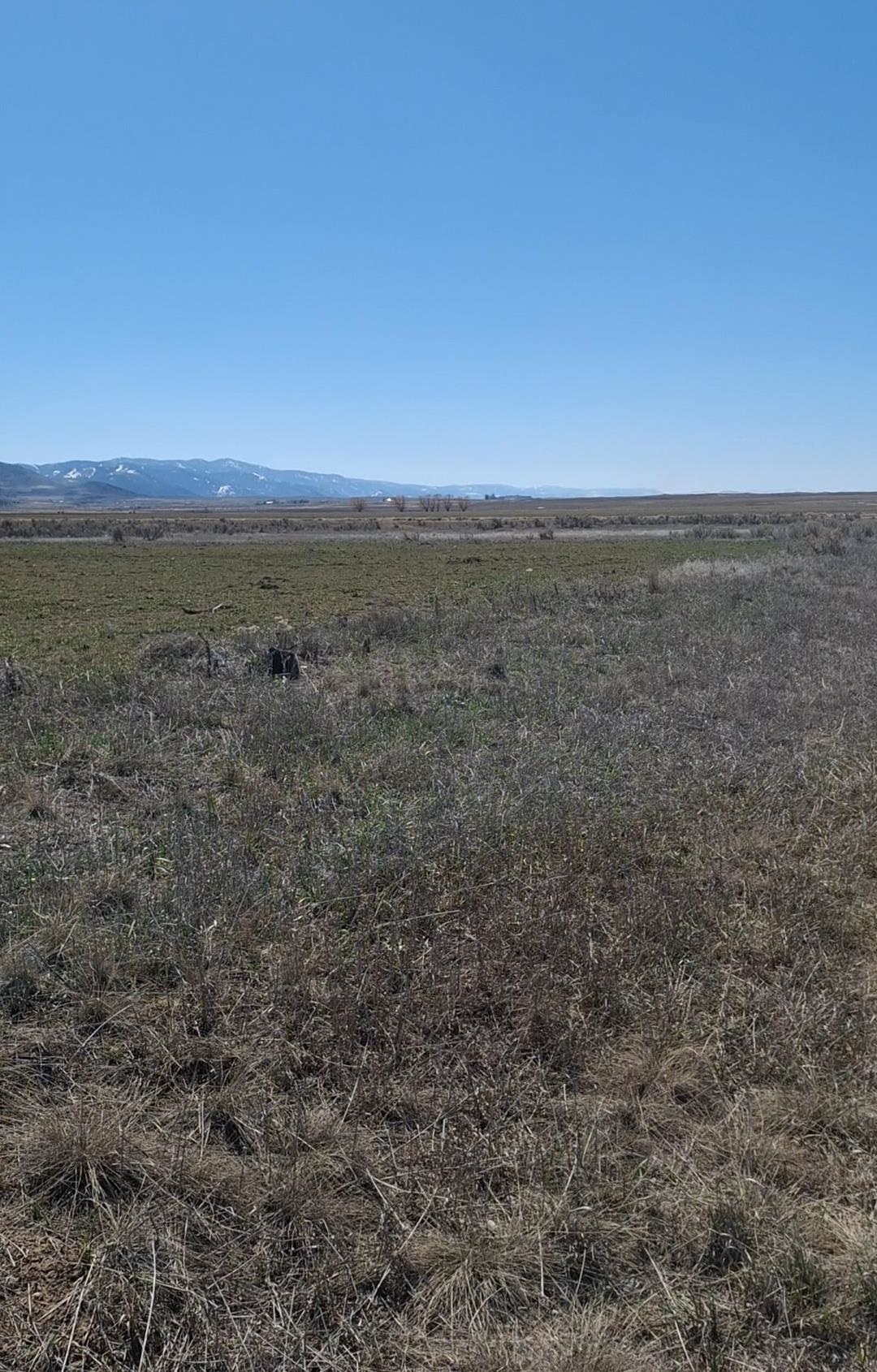 TBD Talmage Rd, Bancroft, Idaho image 2