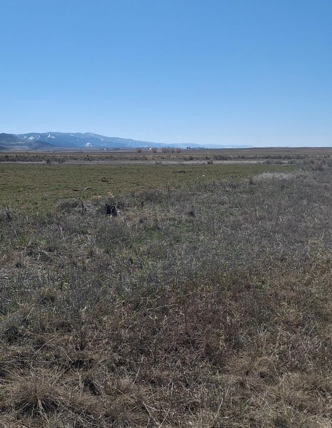 TBD Talmage Rd, Bancroft, Idaho image 5
