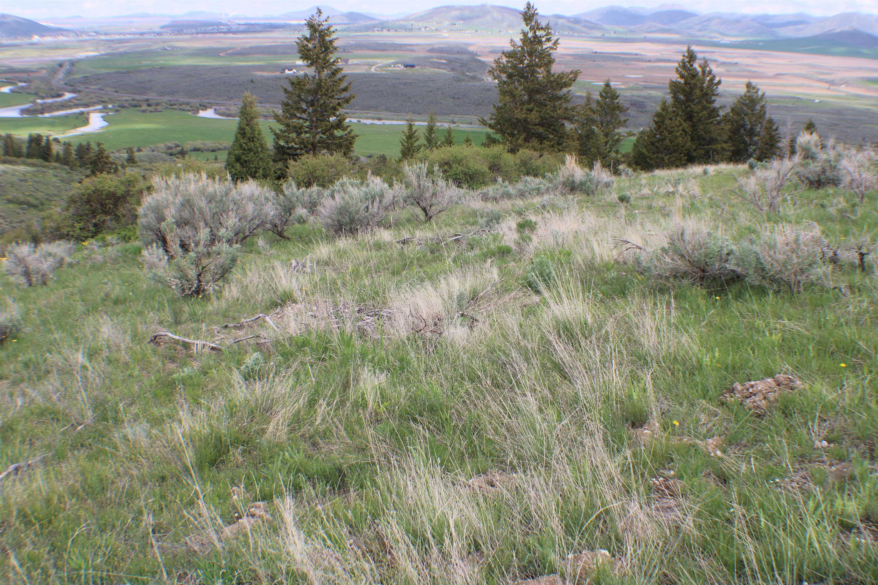 00 Caribou Village Subdivision, Phase 1, Block 2, #LOTS 43,43  44, Soda Springs, Idaho image 11