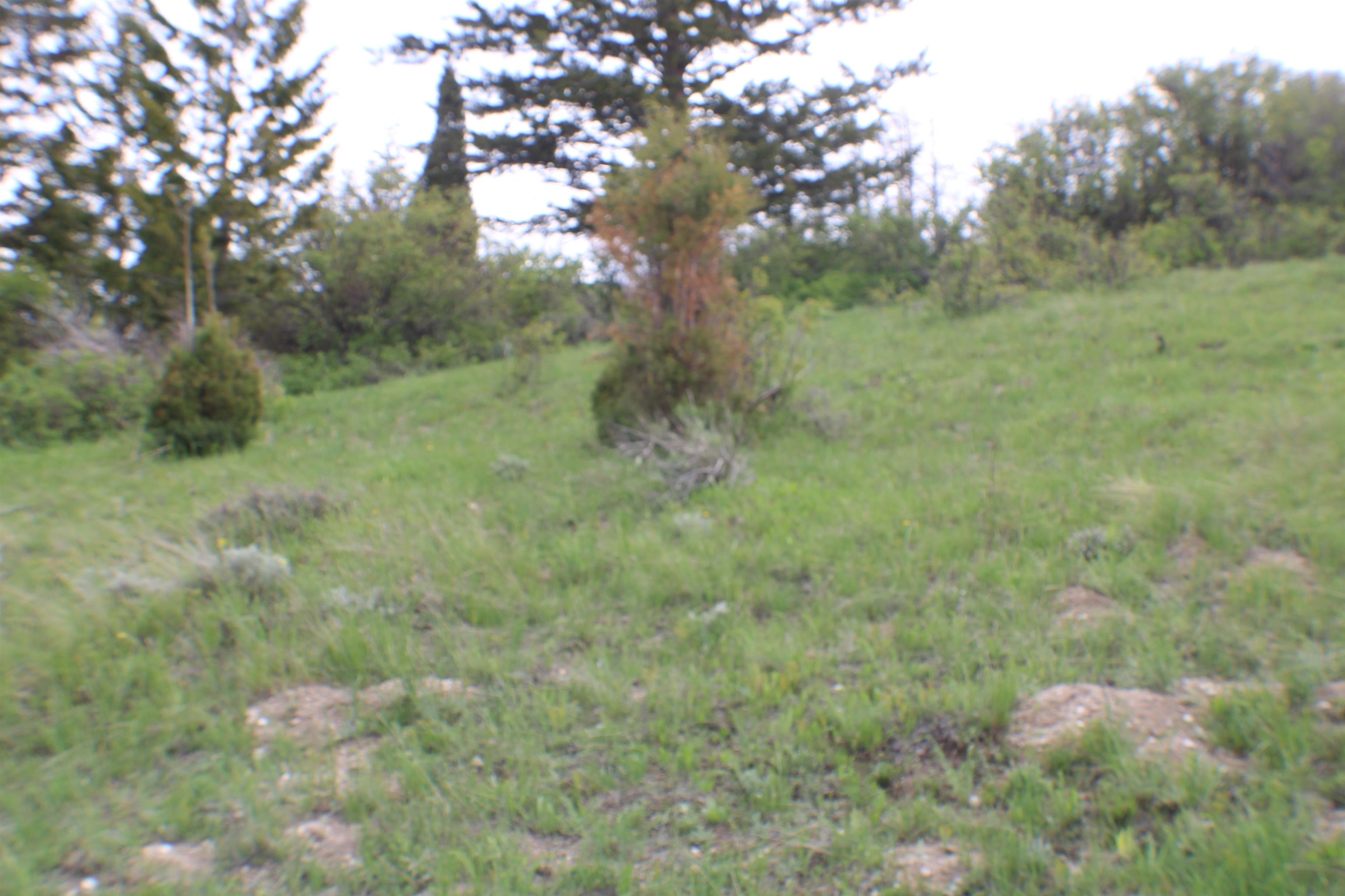 00 Caribou Village Subdivision, Phase 1, Block 2, #LOTS 43,43  44, Soda Springs, Idaho image 13