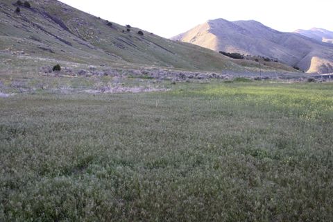 Photo of 0000 S 5th Ave, Pocatello, ID 83201 (MLS # 581046)