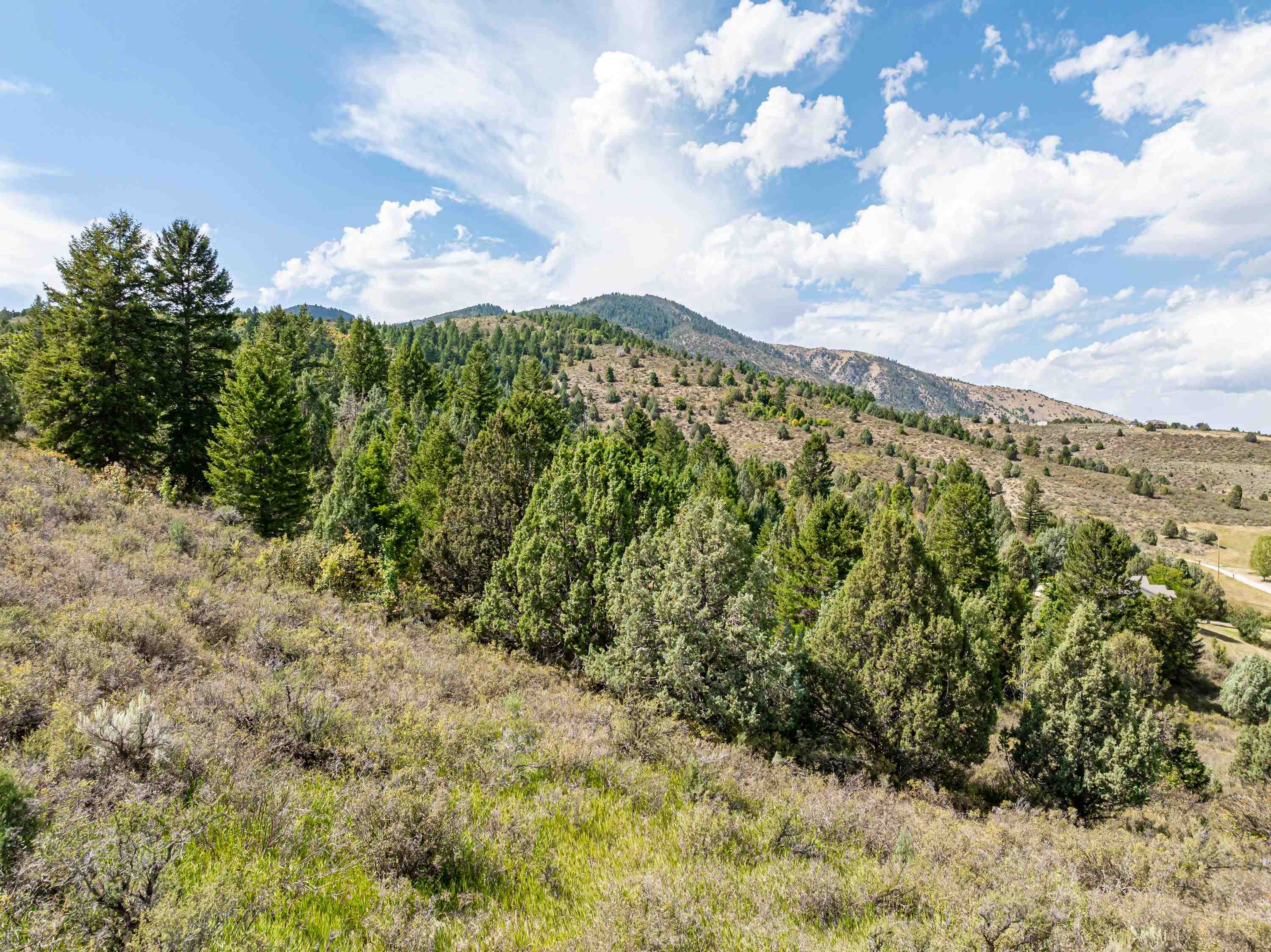 TBD Moose Hollow Rd, Lava Hot Springs, Idaho image 10